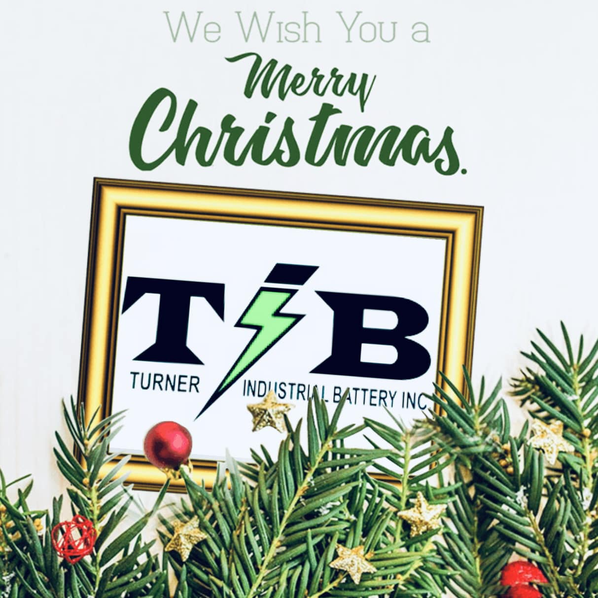 Turner Industrial Battery Dalton