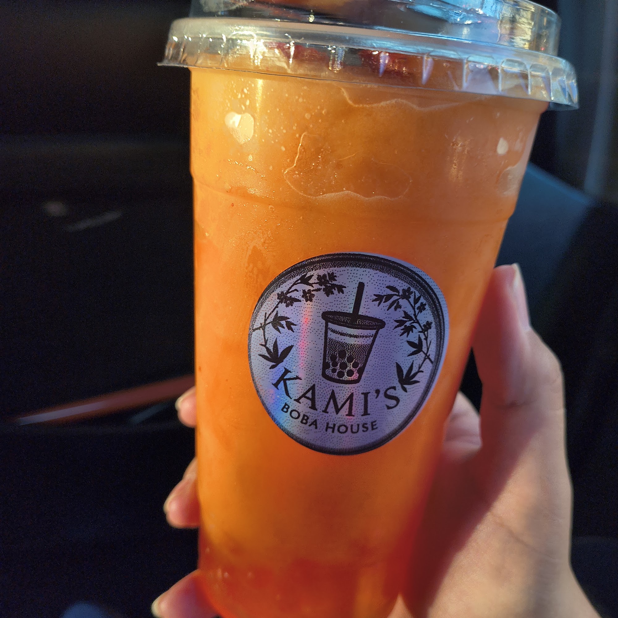 Kami’s Boba House Dalton