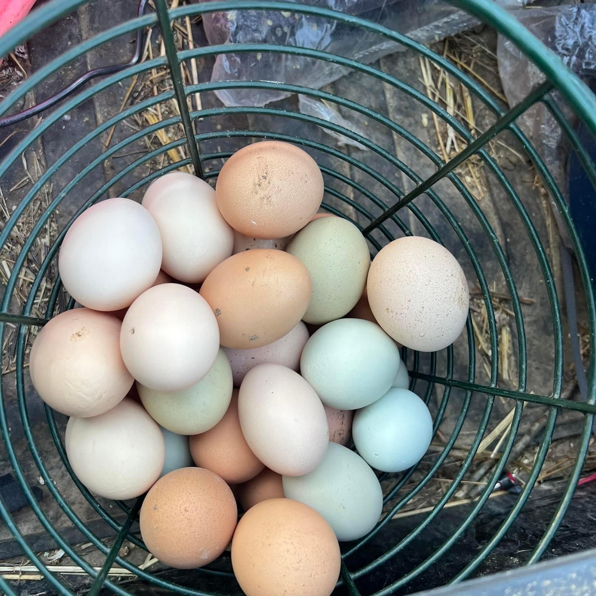 Rockin C Farm 2020 LLC Dalton