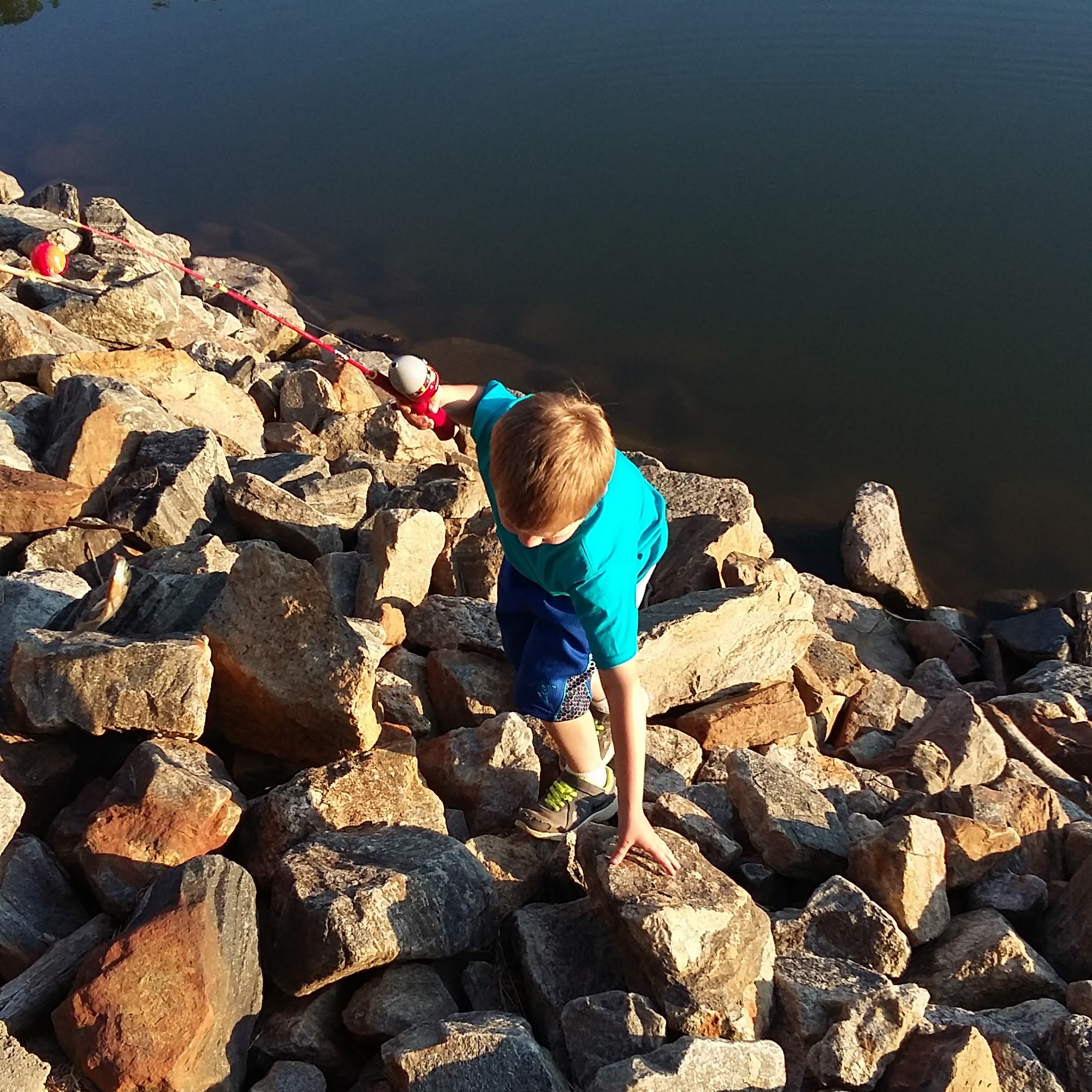 Vet Vaccinations Clinic at Tractor Supply Co. Dawsonville