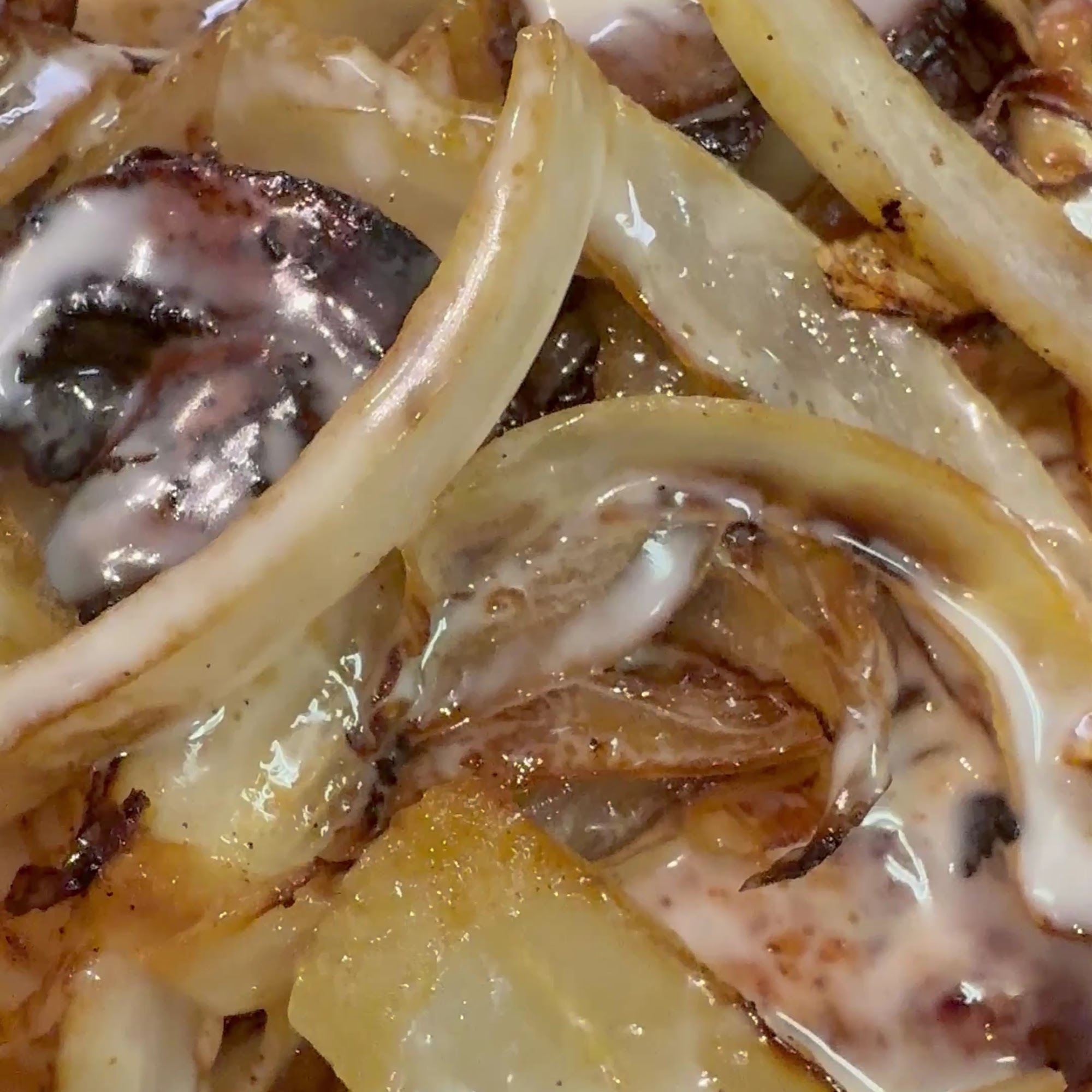 Señor Fiesta Dawsonville