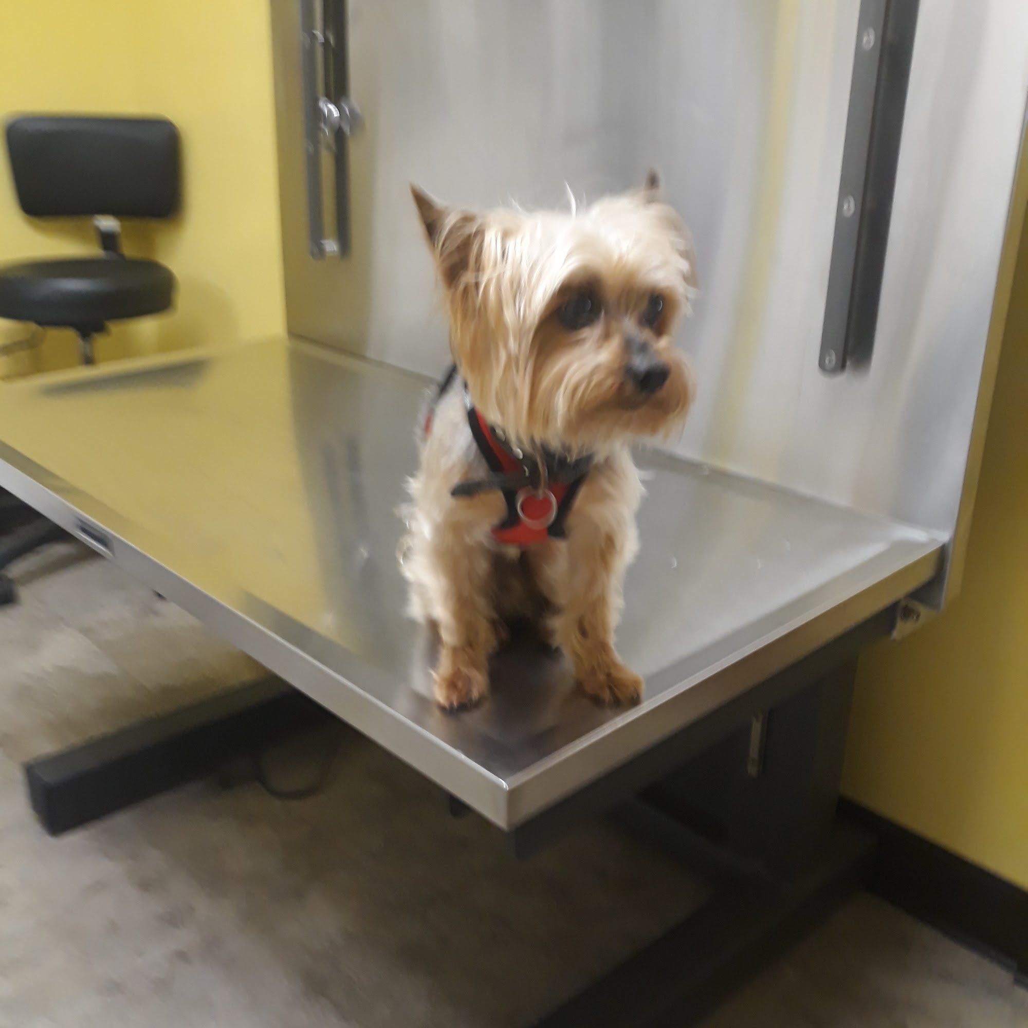 Columbia Belvedere Animal Hospital Decatur