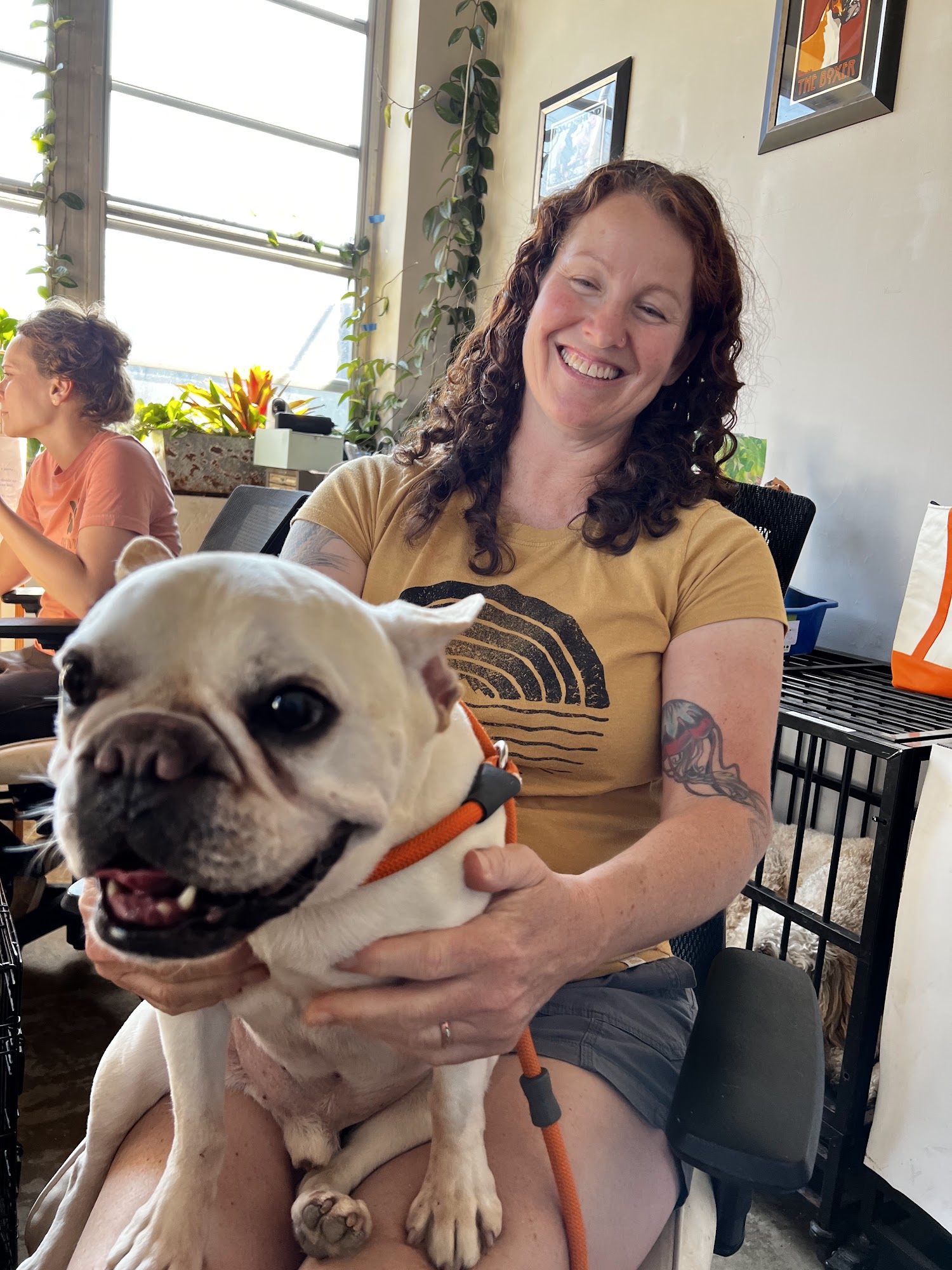 Frogs to Dogs, Training & Pet Care Decatur