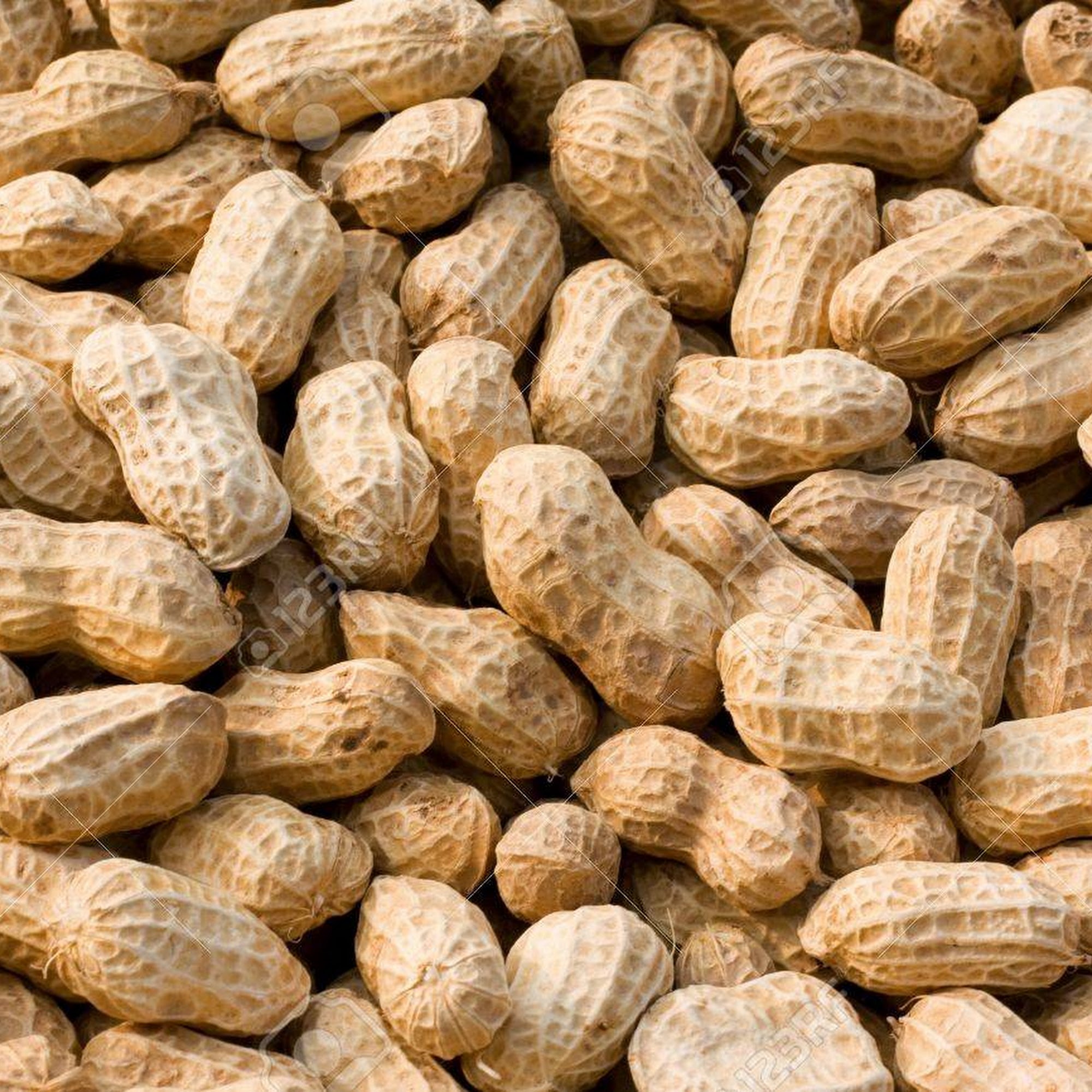 American Peanut Growers Group, LLC Donalsonville
