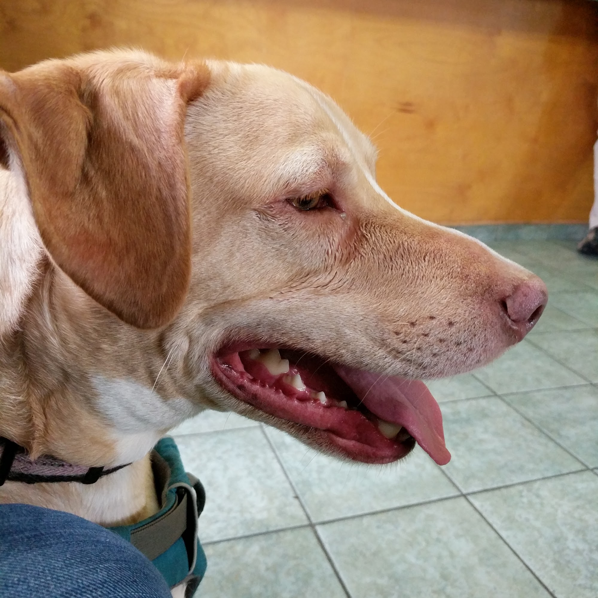 Carter Veterinary Clinic Douglas