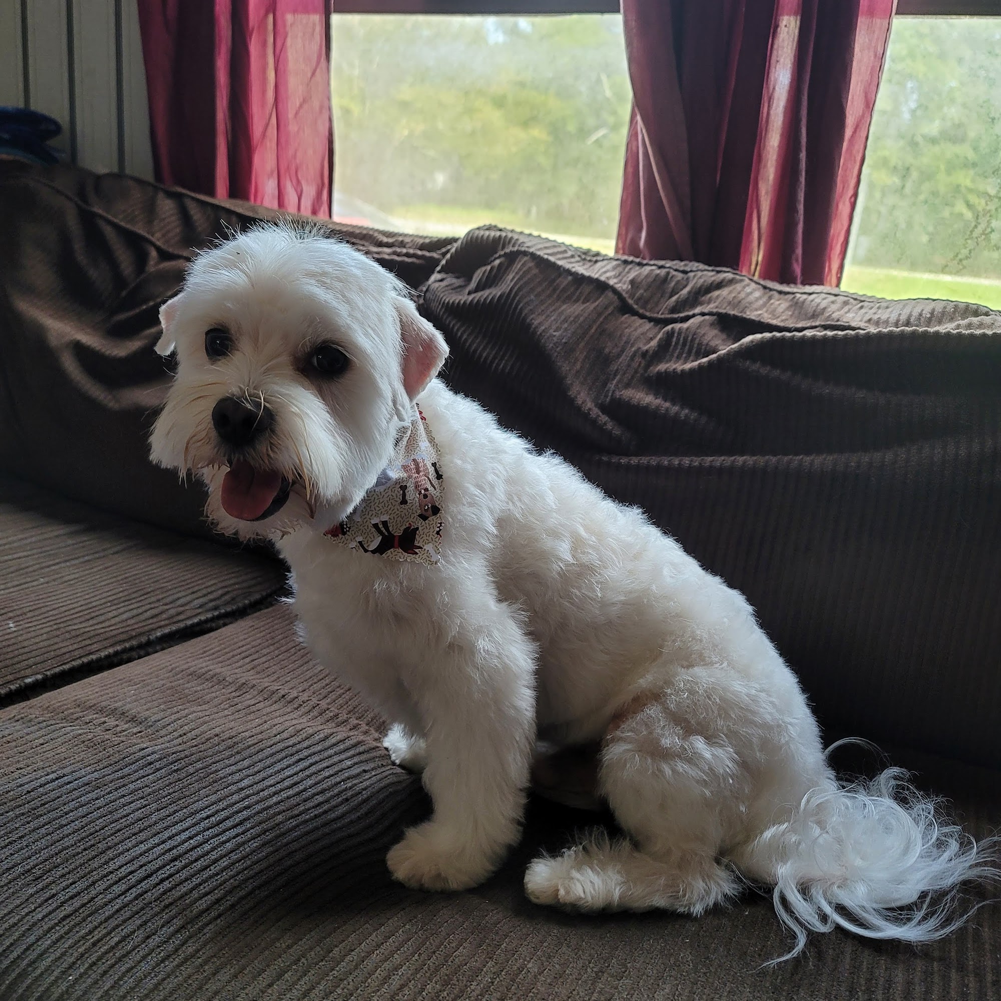 Coffee Hounds 1207 N Peterson Ave, Douglas Georgia 31533