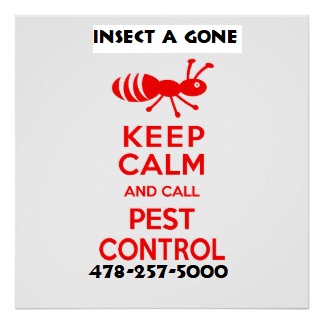 Insect-A-Gone