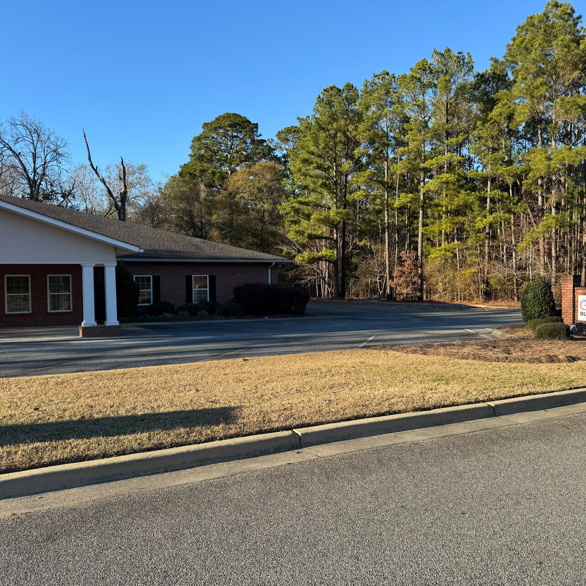 Georgia Blood and Cancer 207 Fairview Park Dr, Dublin Georgia 31021