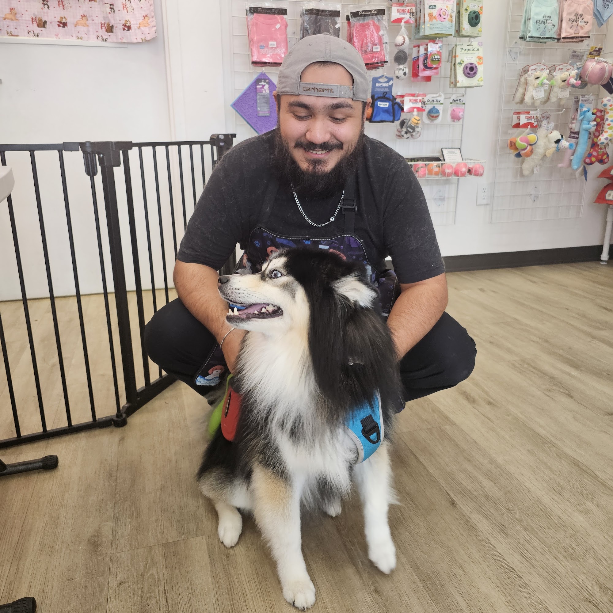 Woof Gang Bakery & Grooming Dunwoody Dunwoody