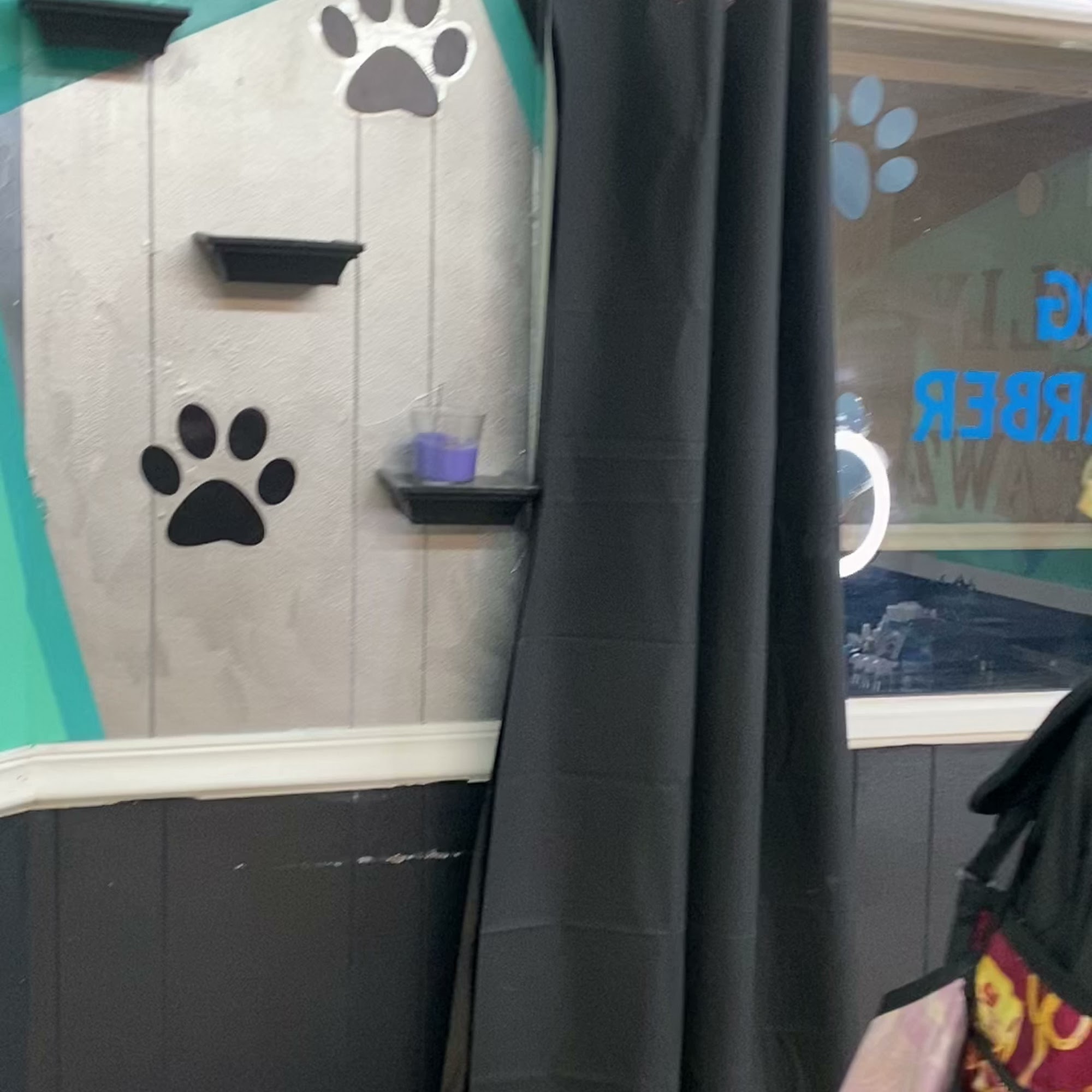 Polly Pawz East Point