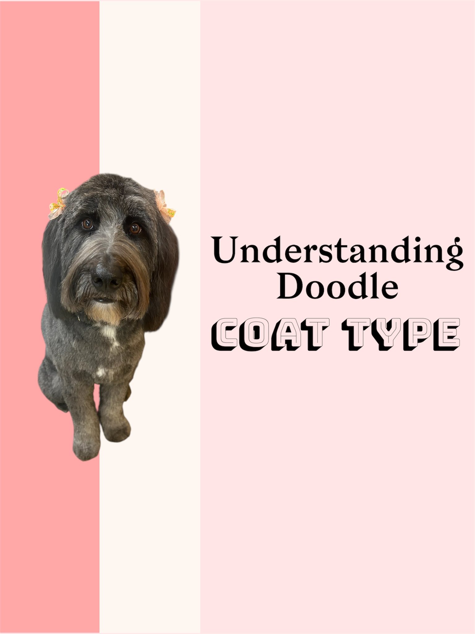 Beth’s Boarding & Grooming Eatonton