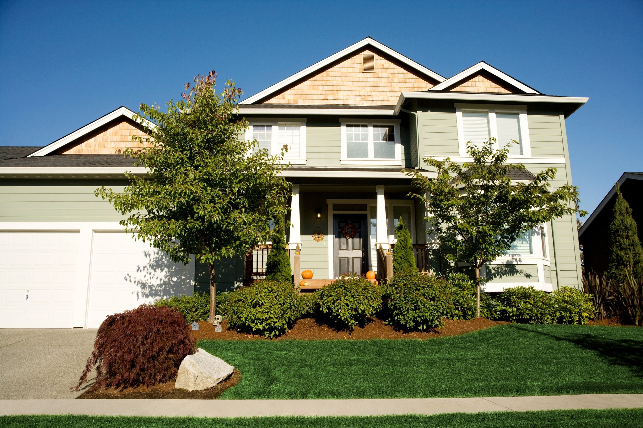 Precision Tree Service