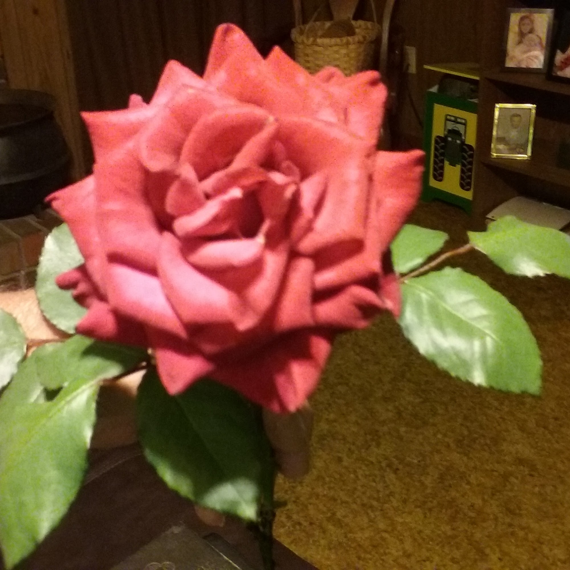 Christian Auction & Equipment Elberton