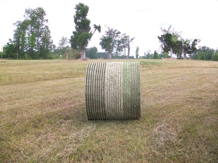 Perfect Equipment Co Elko