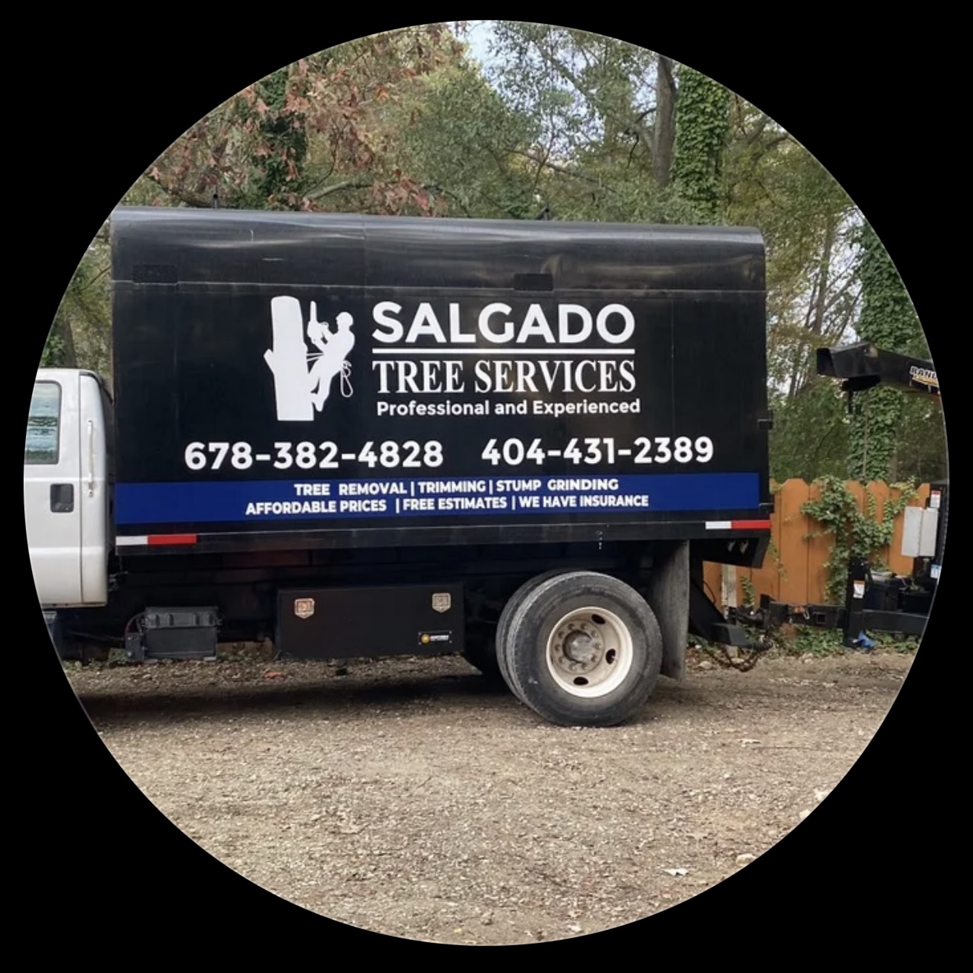 Salgado Tree Service Ellenwood