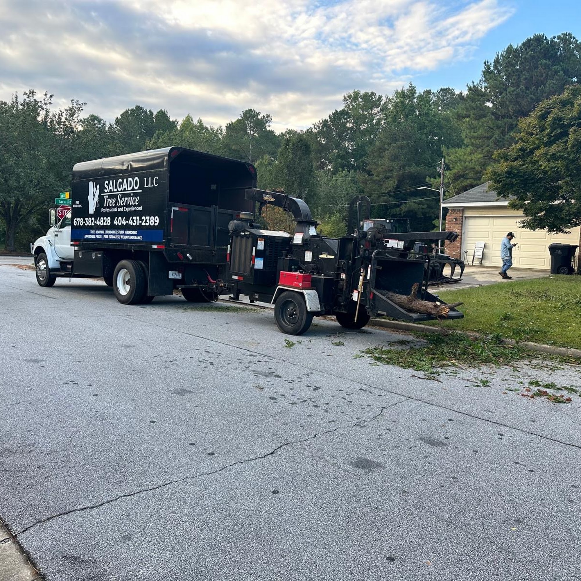 Salgado Tree Service Ellenwood