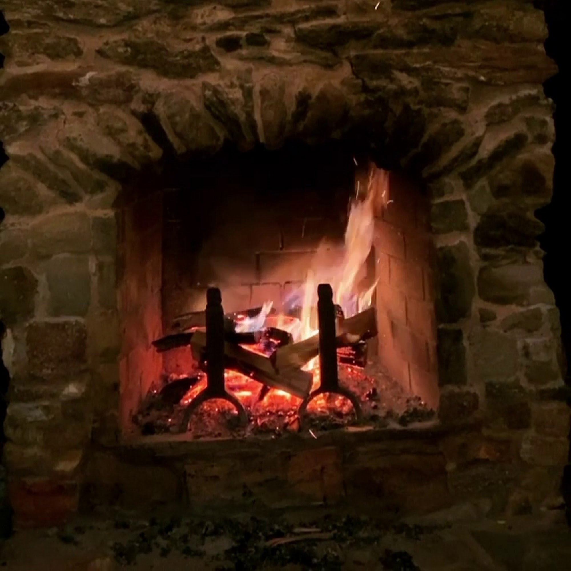 Cartecay Vineyards Ellijay