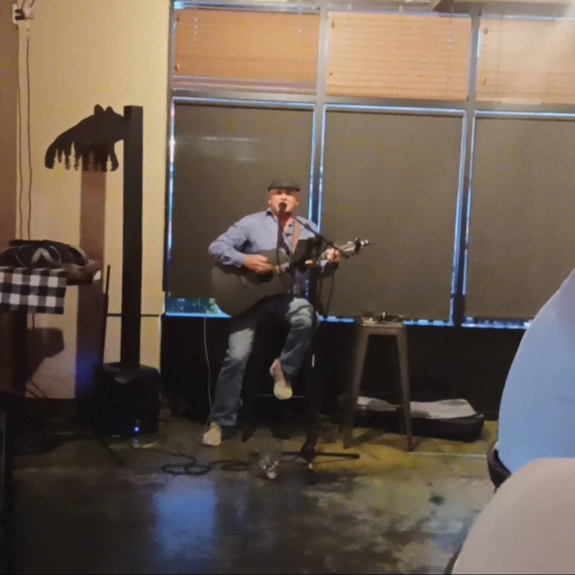 Big Bear Ellijay Bar & Grill Ellijay