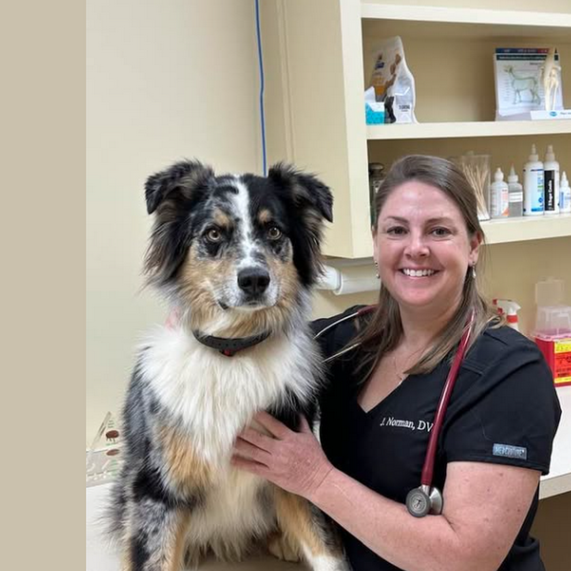 Blanchard Woods Animal Hospital: Vernon Marie DVM Evans