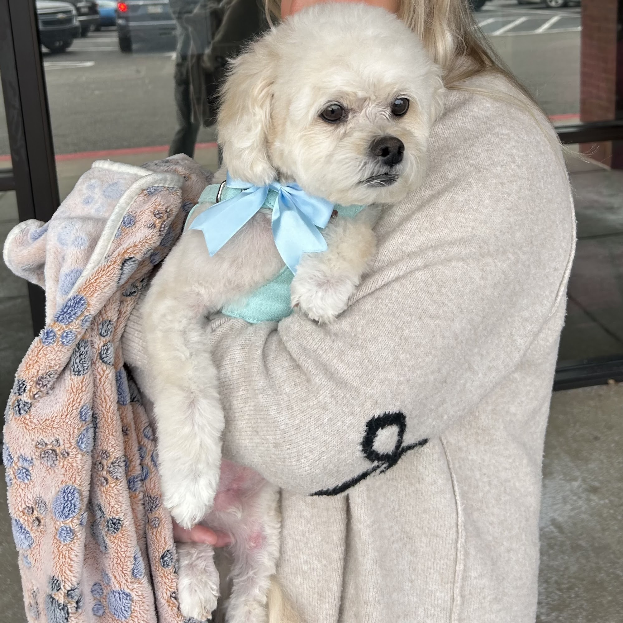 Woof Gang Bakery and Grooming Evans 4351 Washington Rd Ste C, Evans Georgia 30809