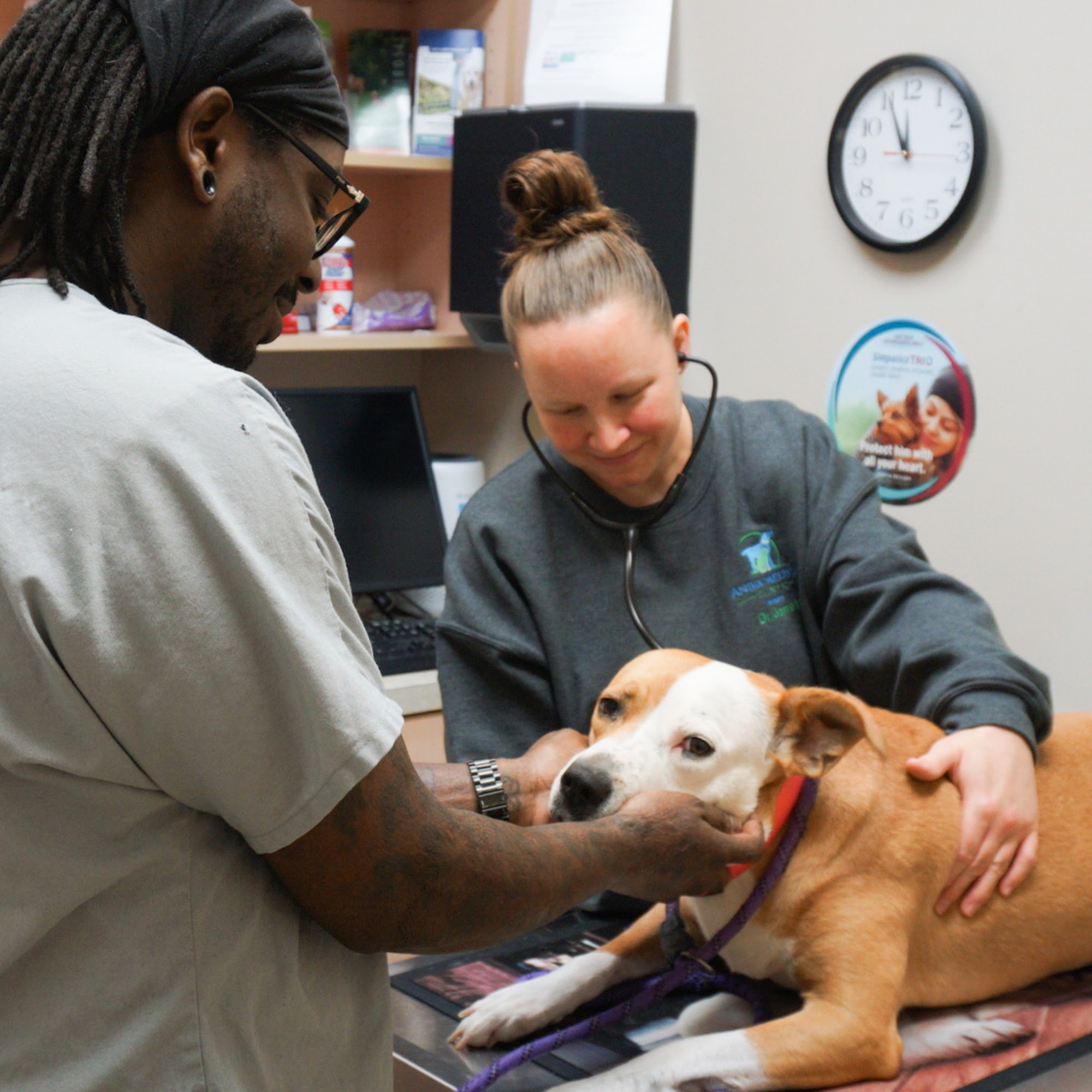 Animal Medical Clinic of Fairburn Fairburn