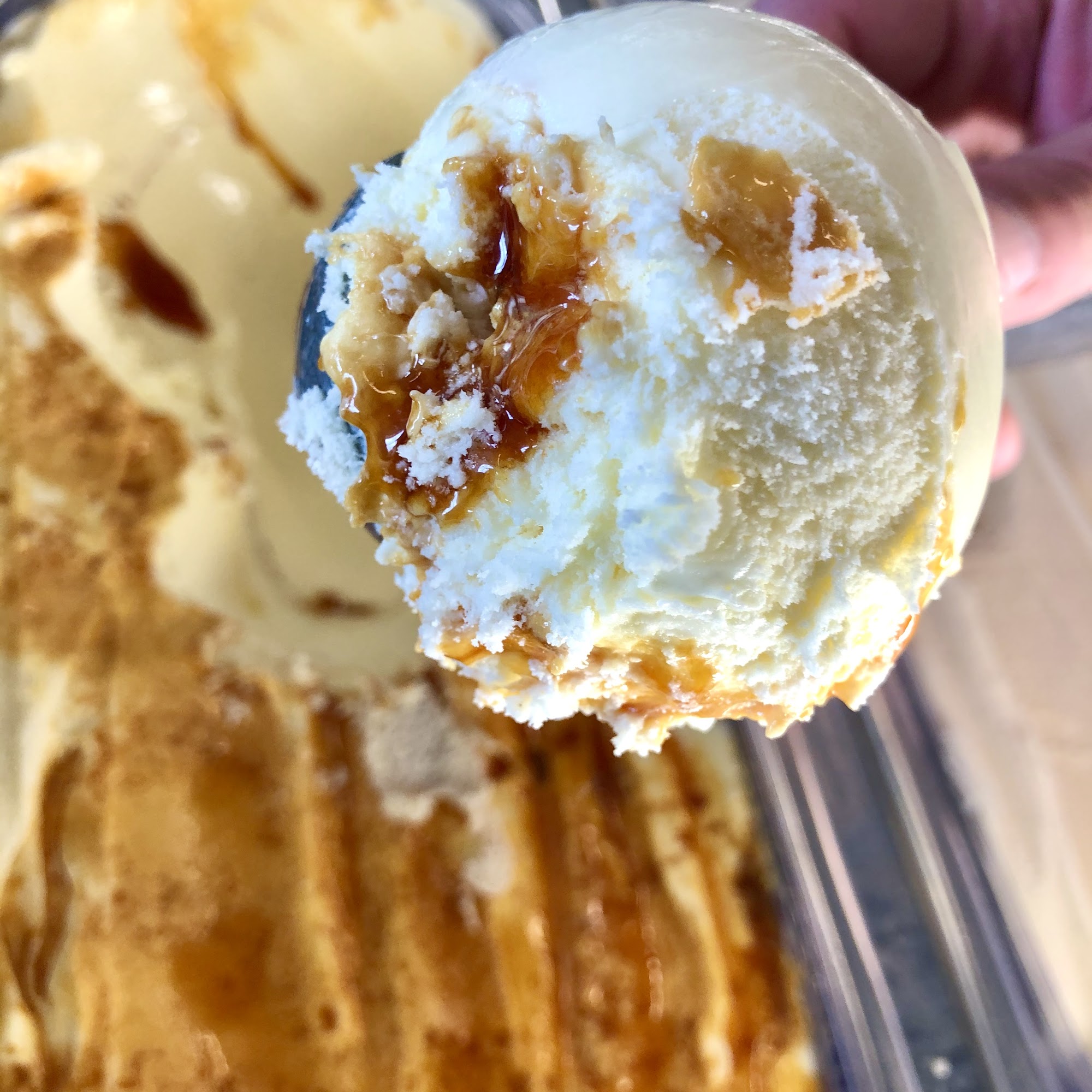 Honeysuckle Gelato Trilith Fayetteville