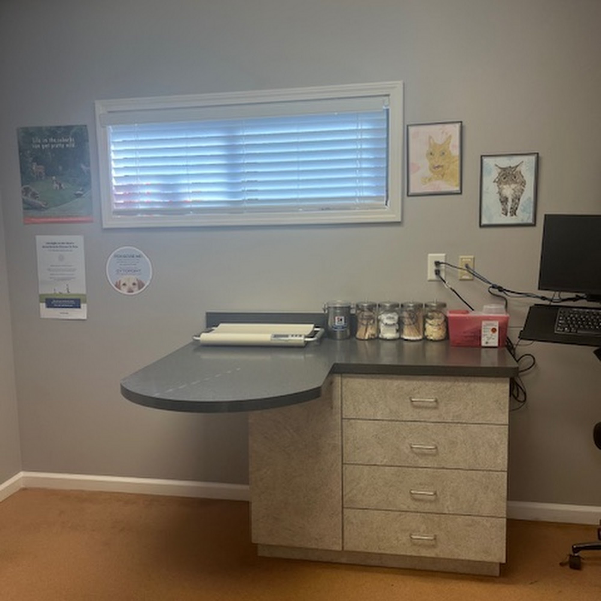 PetCare Animal Hospital Flowery Branch