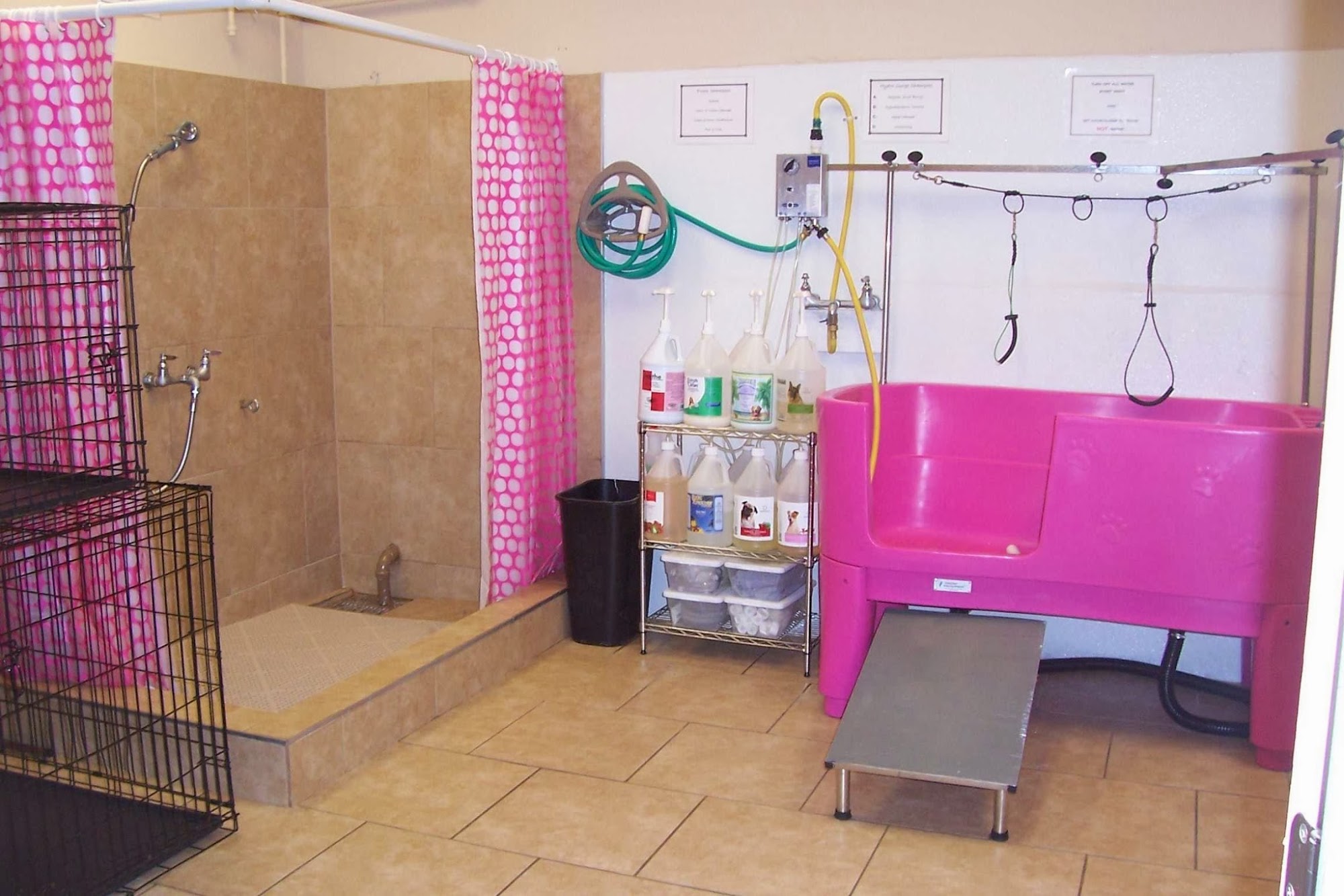 Pawsatively Purrfect Flowery Branch