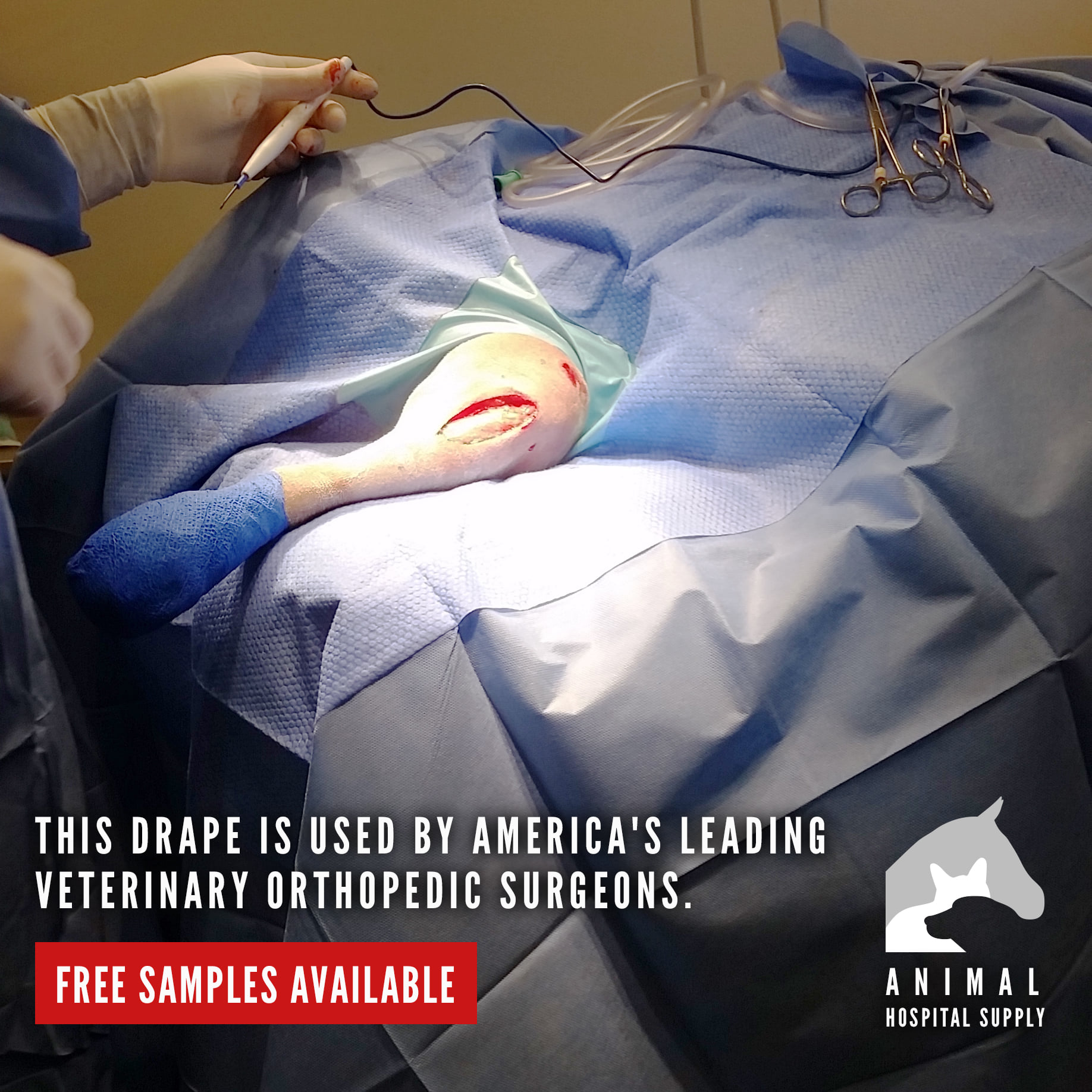 Animal Hospital Supply