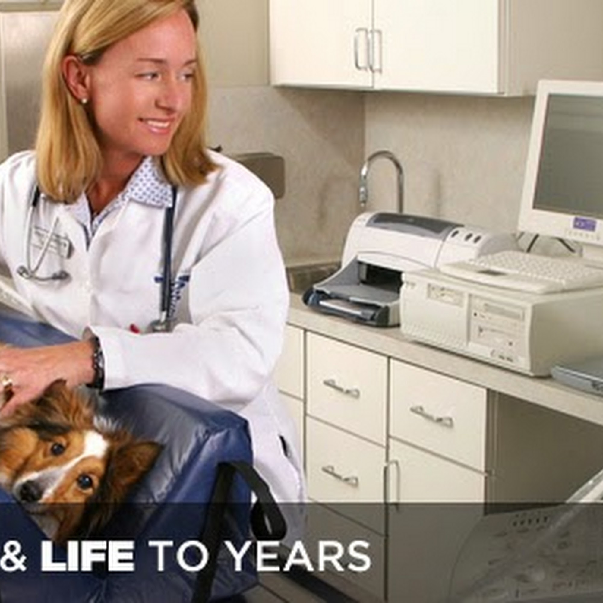 Animal Medical Care Gainesville