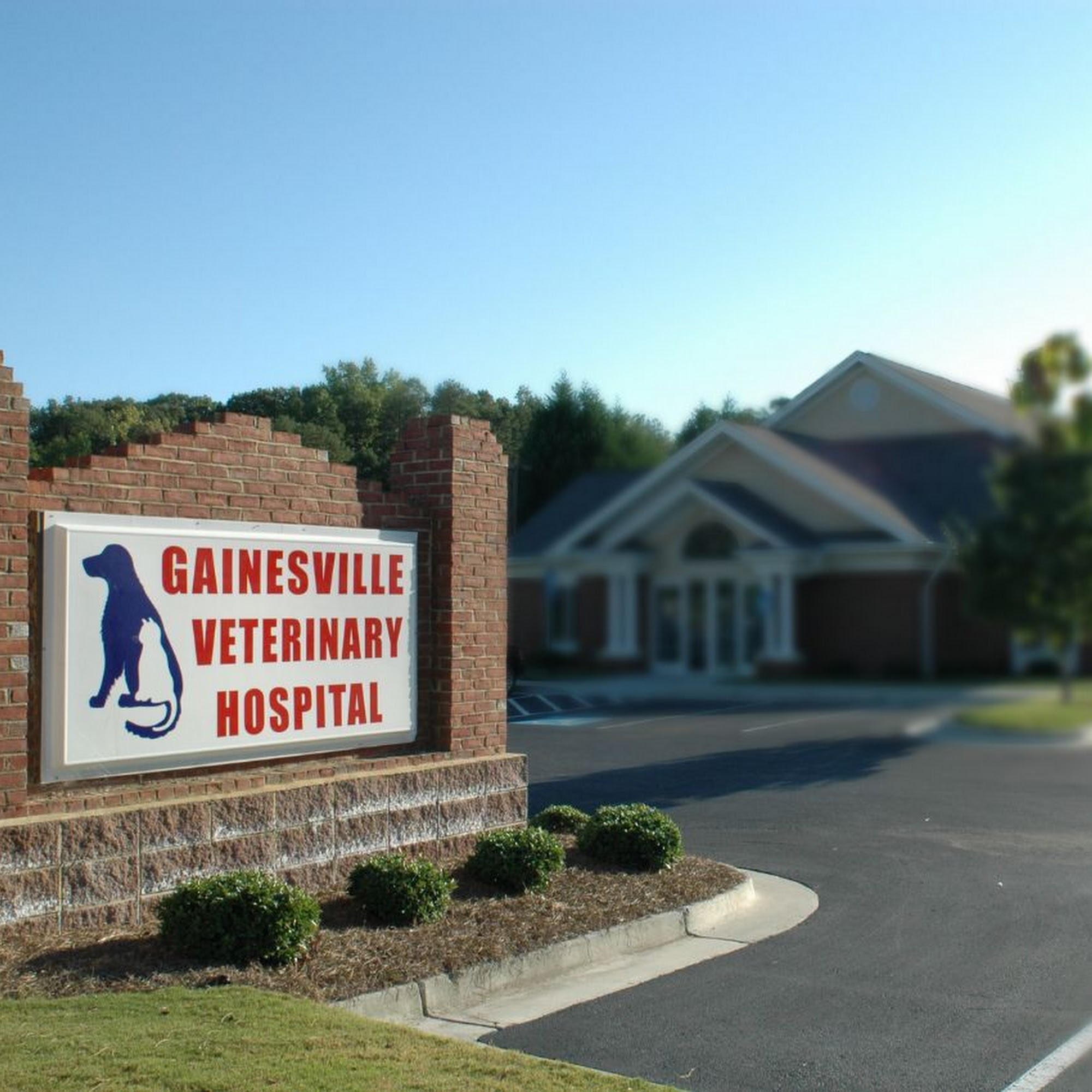 Gainesville Veterinary Hospital Gainesville