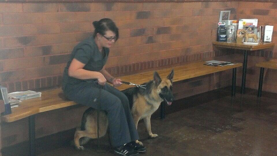 Lance Animal Hospital Gainesville