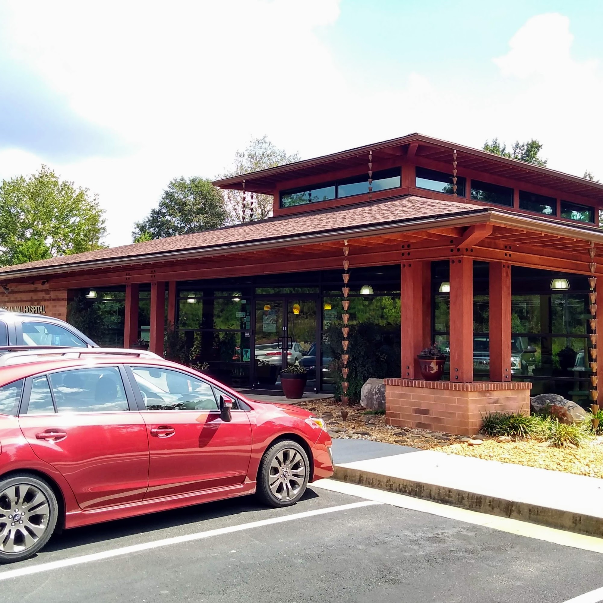 Lance Animal Hospital Gainesville