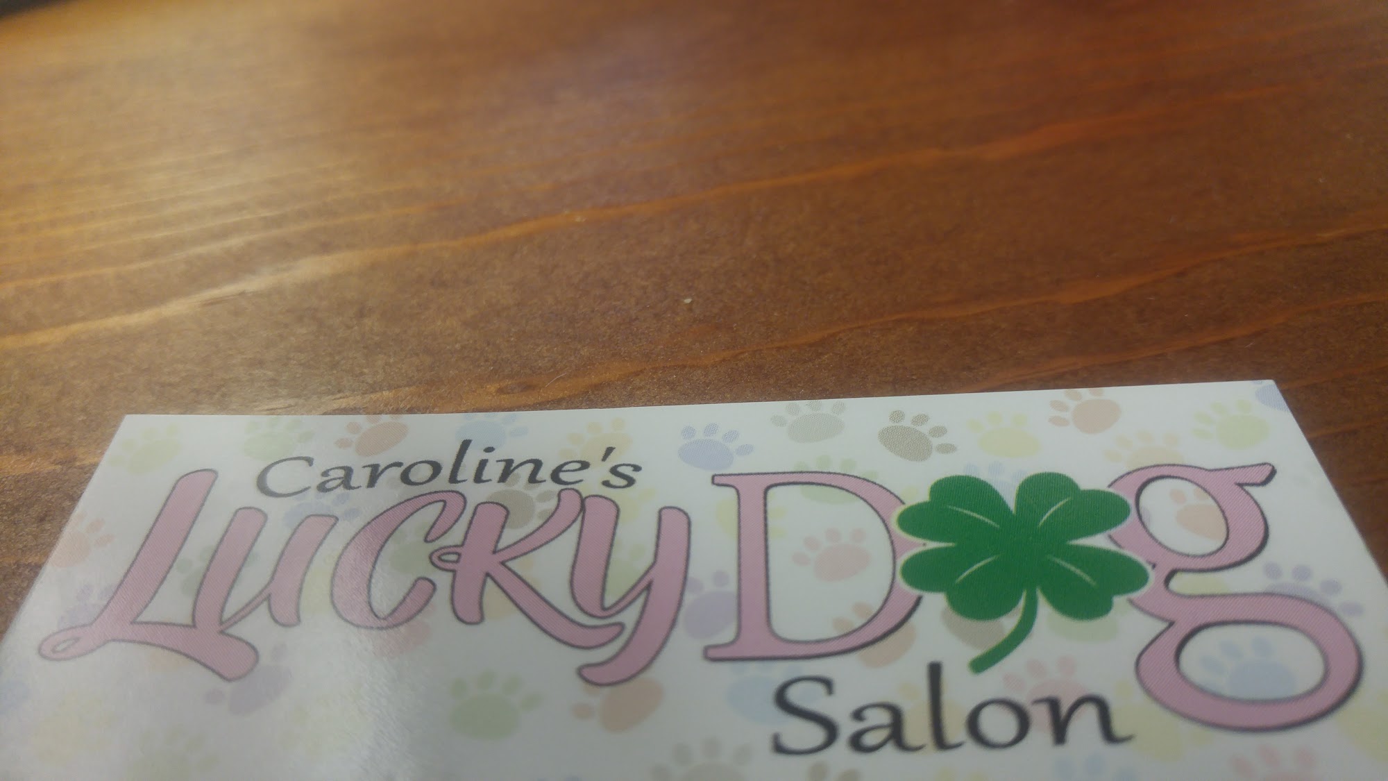 Caroline's Lucky Dog Salon Gainesville