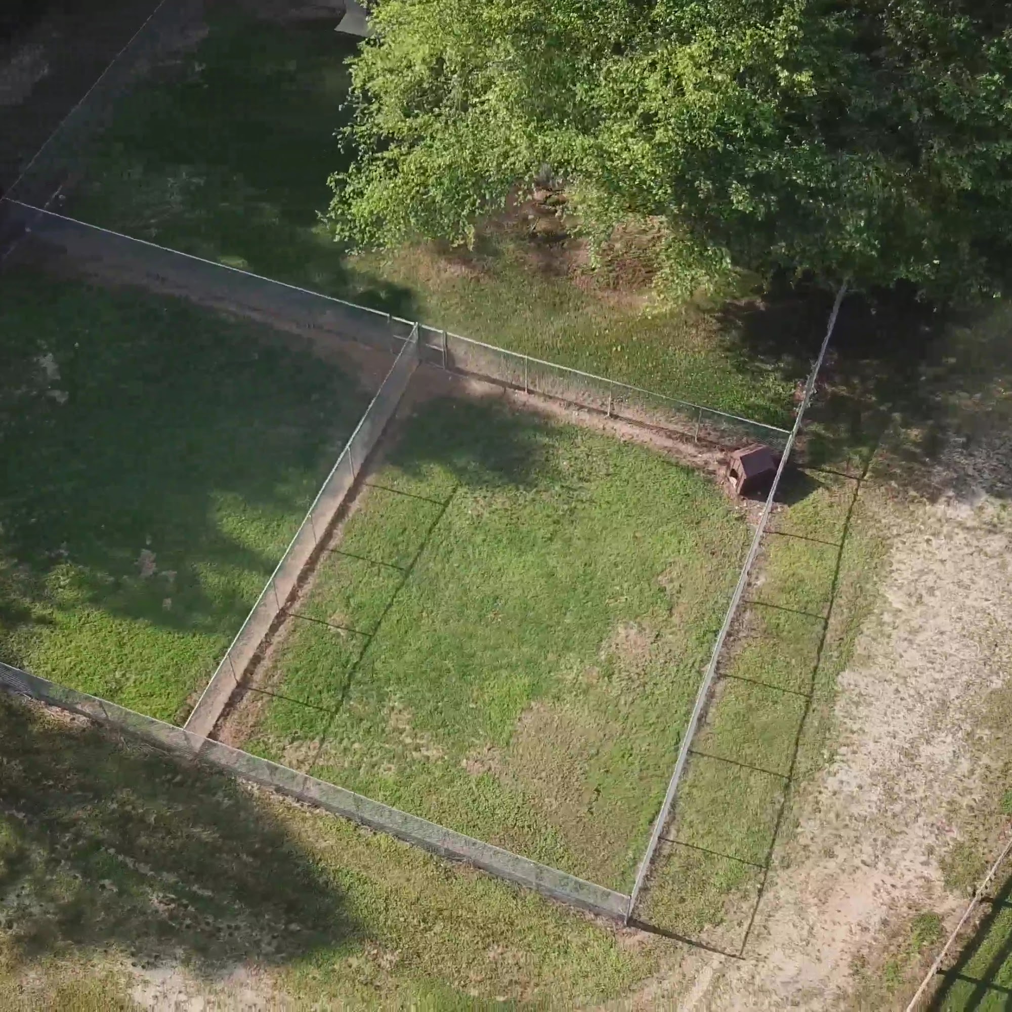 Custom Canine Unlimited Gainesville