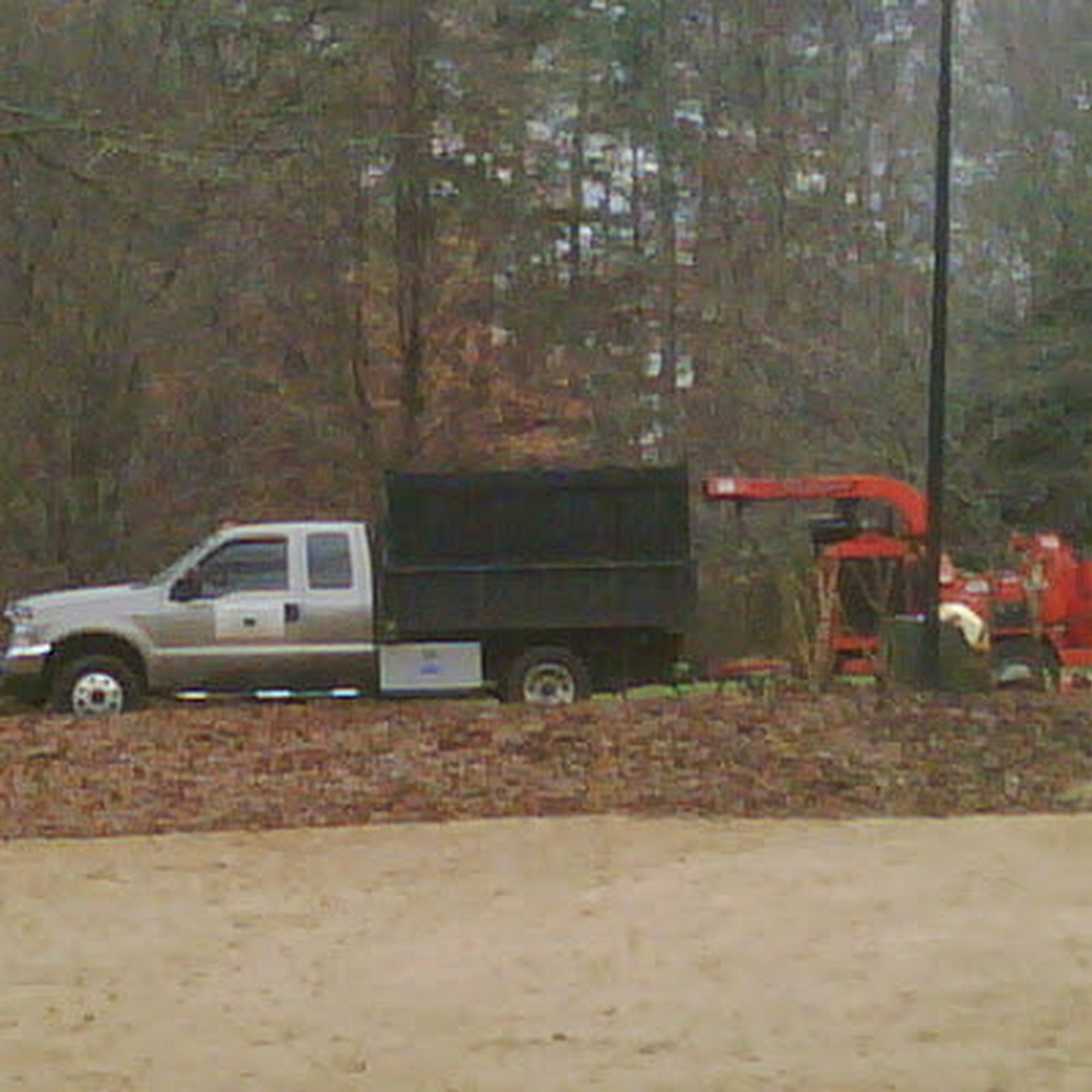 Complete Tree Care