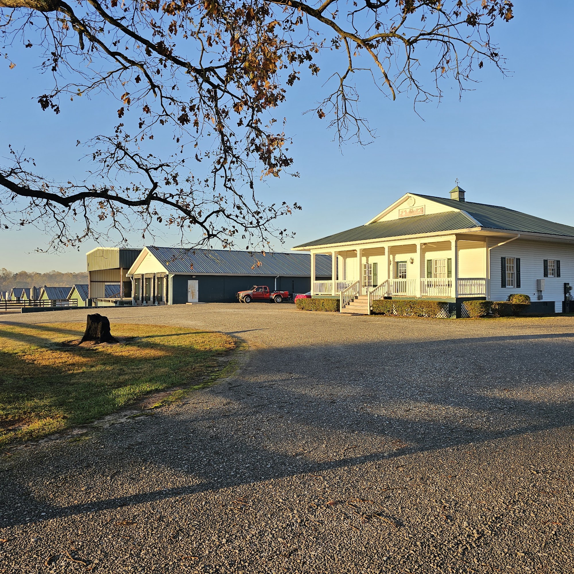 M & M Quail Farm Gillsville