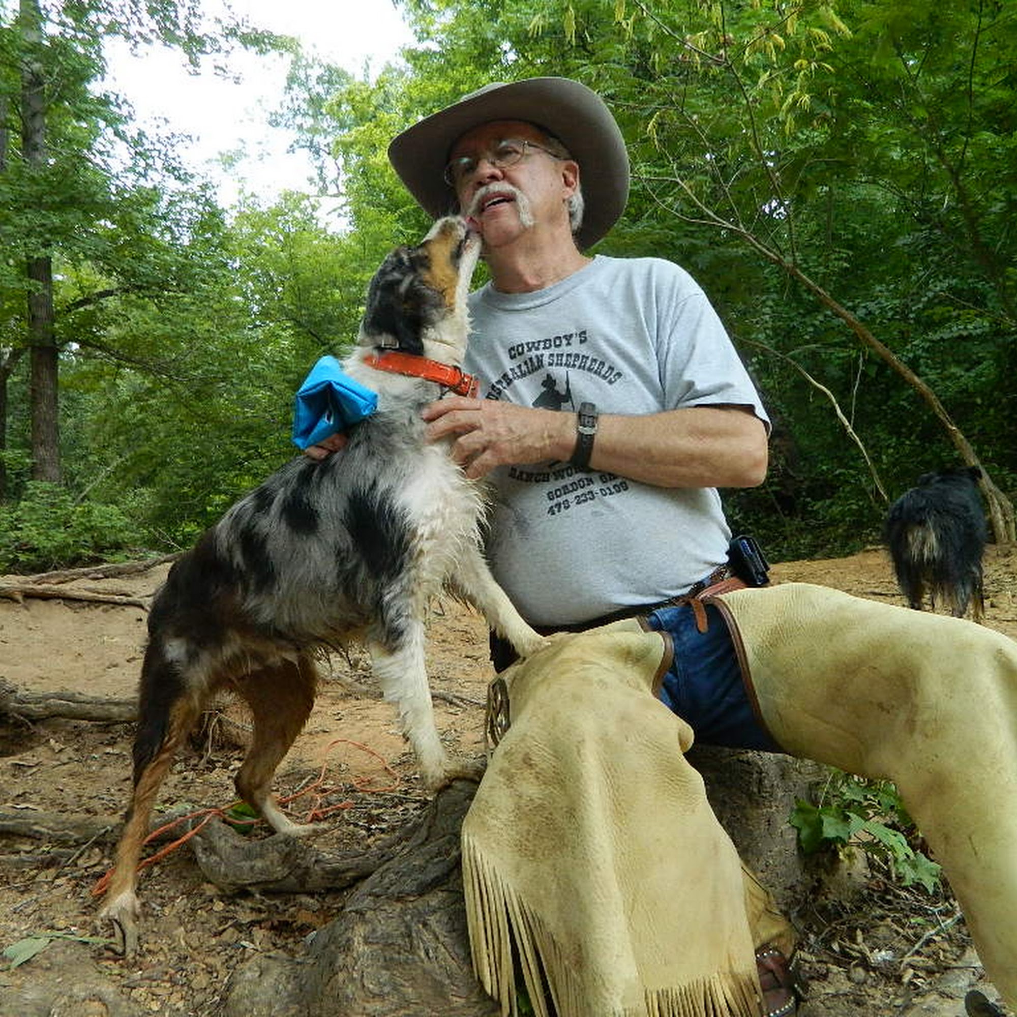Cowboys Australian Shepherds 392 Burns Rd, Gordon Georgia 31031