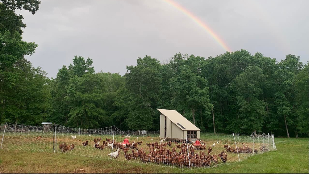 Southern Pine Farm Greensboro
