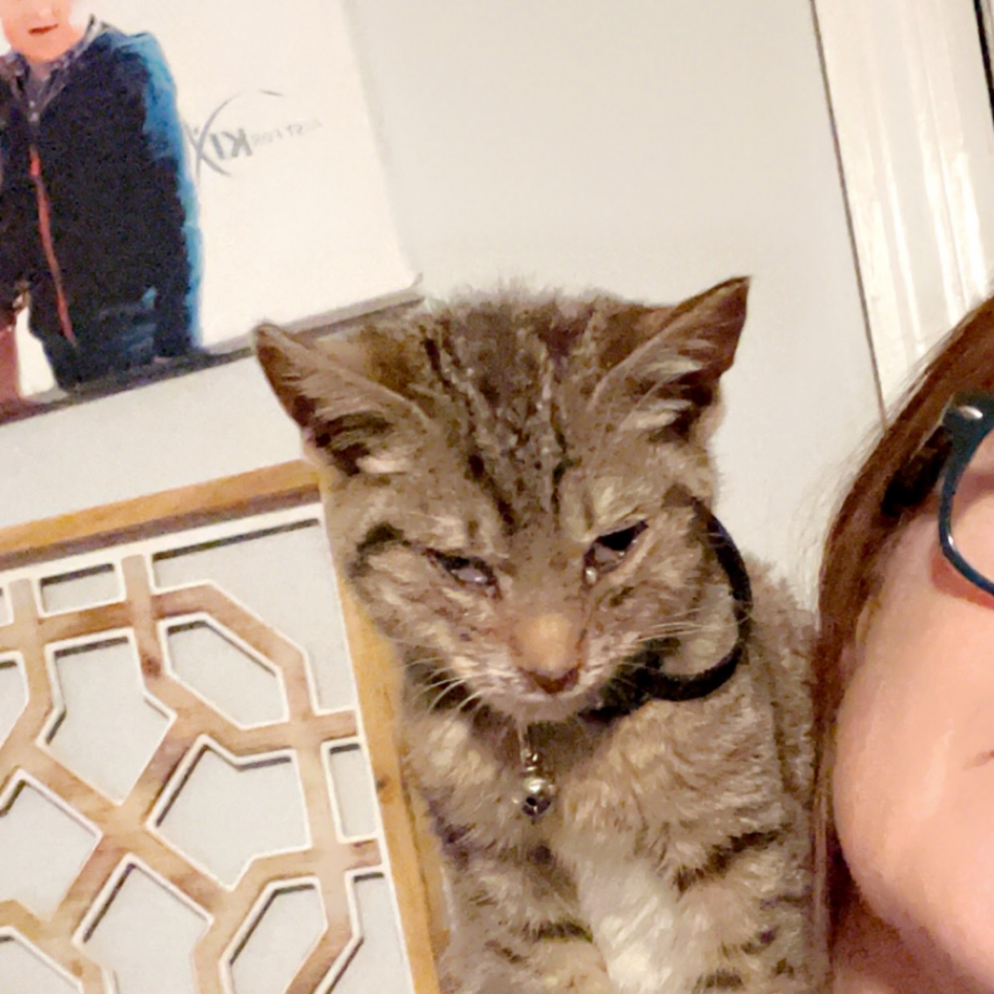 North Griffin Animal Hospital Griffin