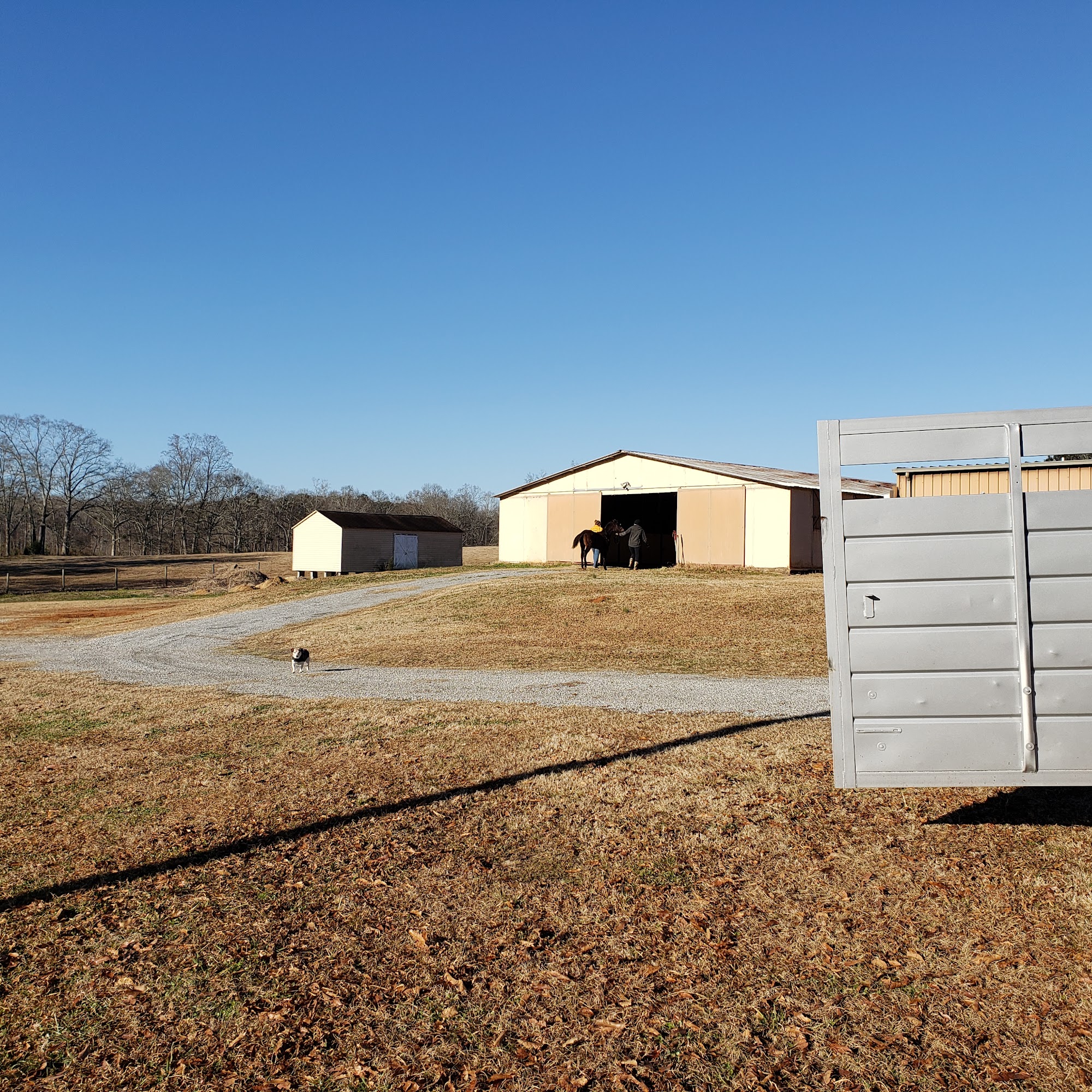 Fulton Equine Clinic Griffin