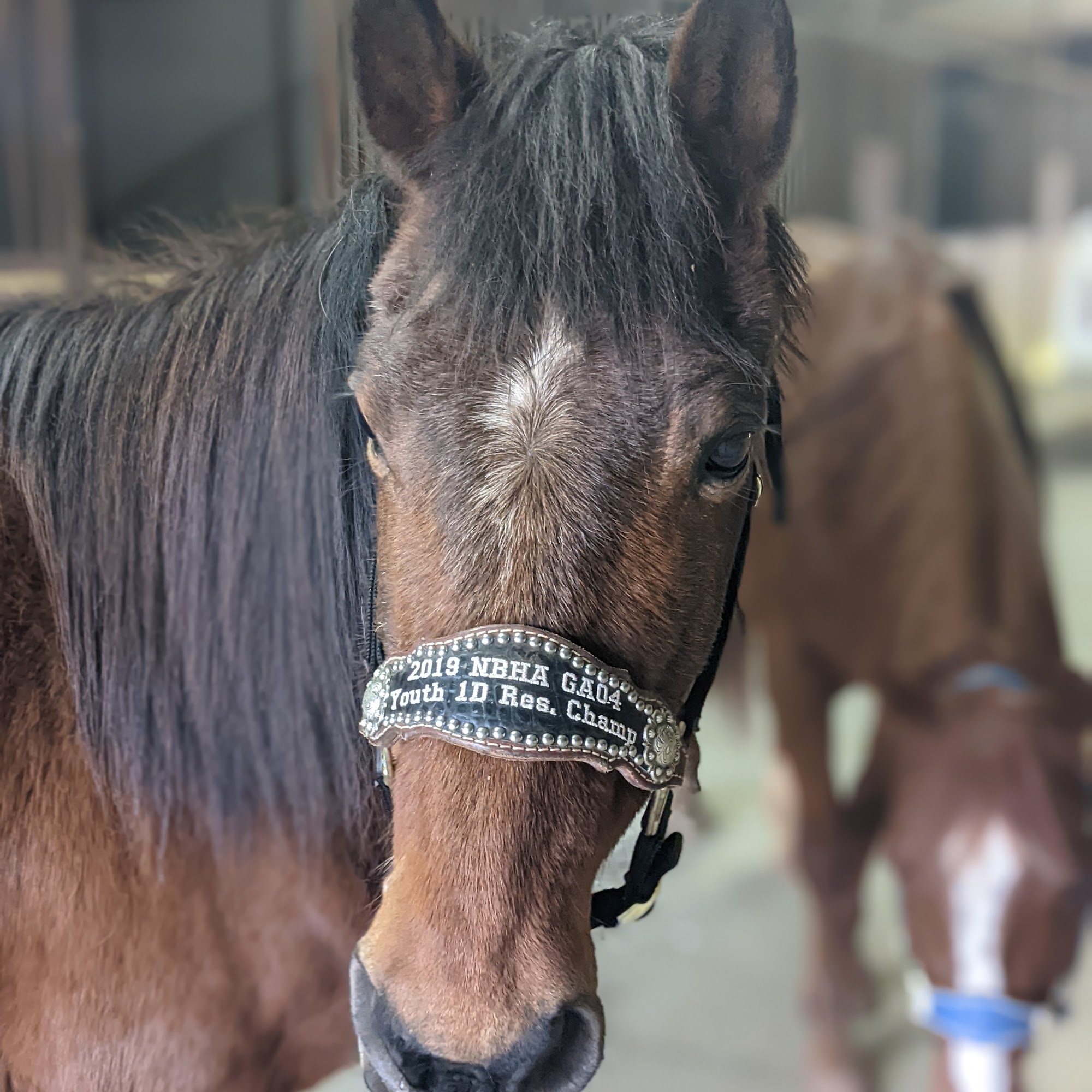 Fulton Melissa J Dr Griffin