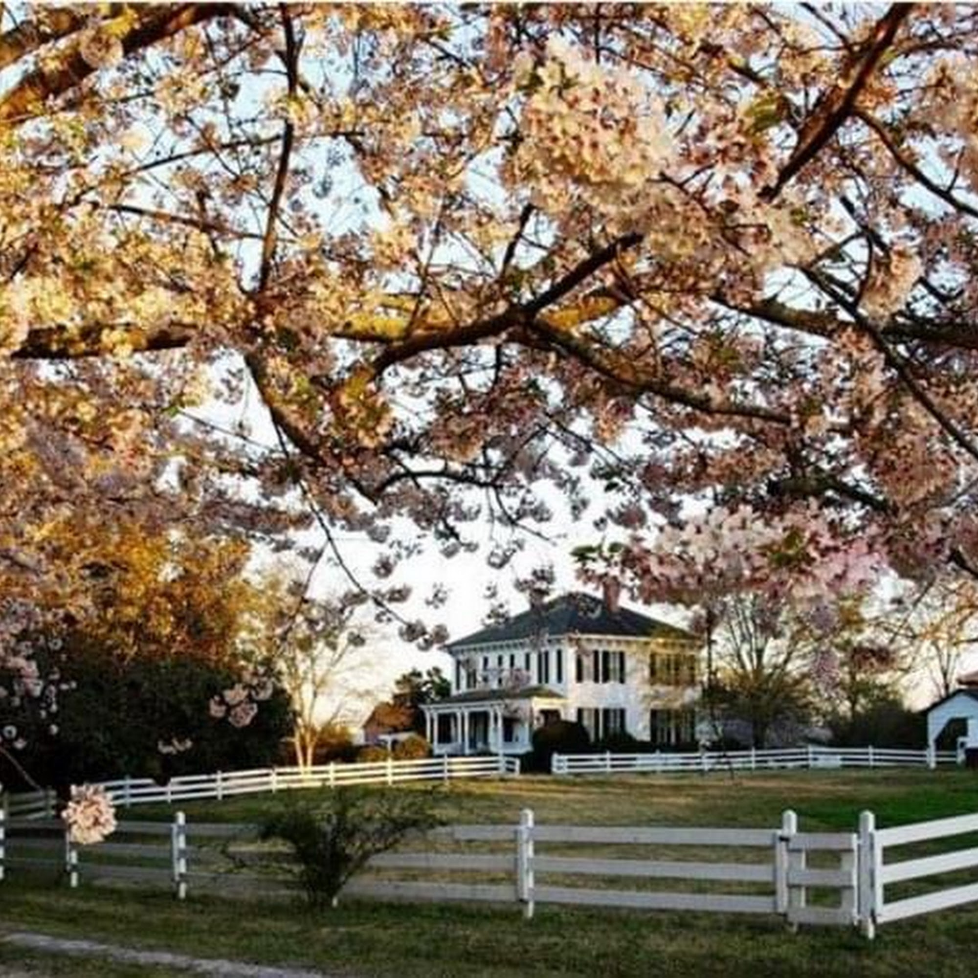 Historic Brookfield Estate