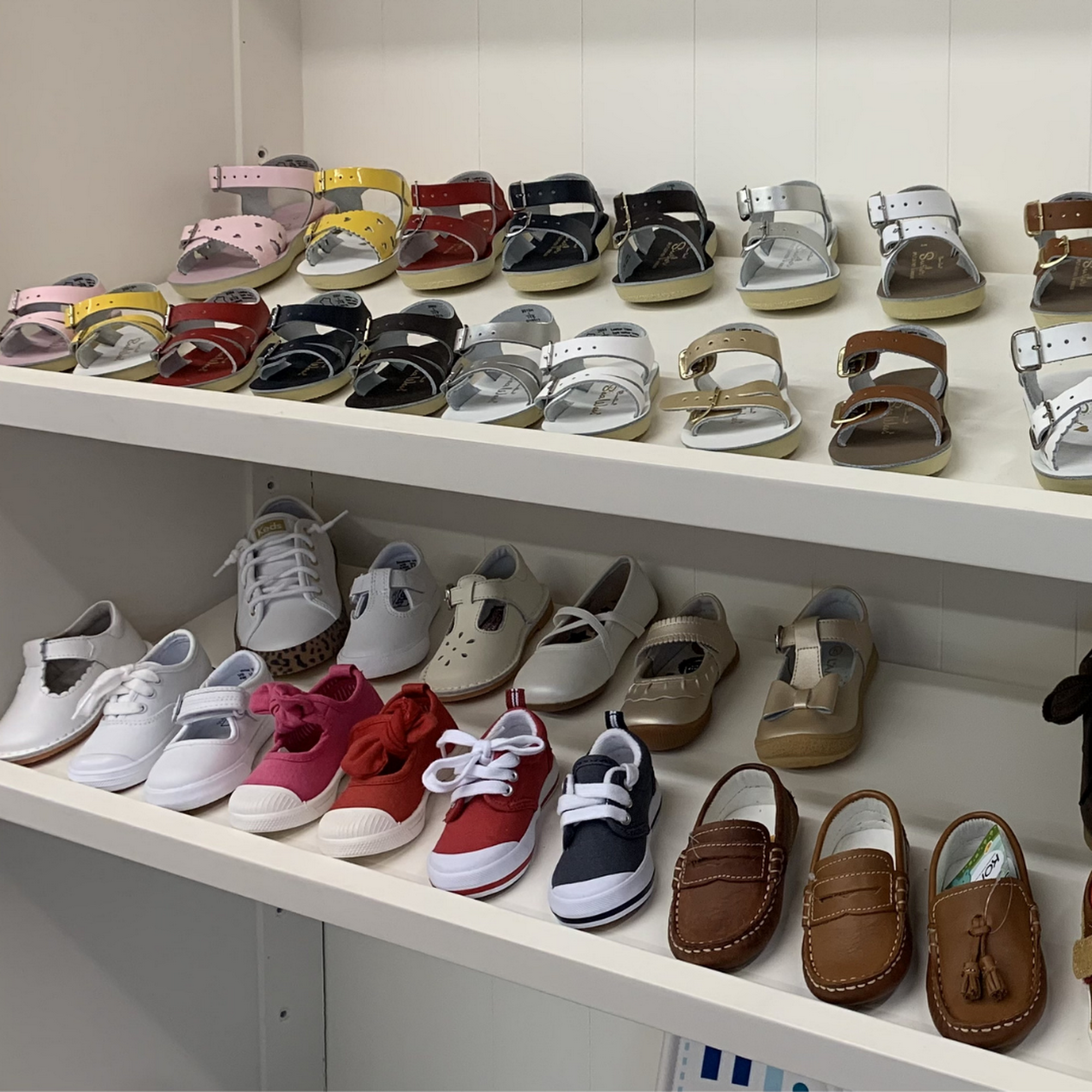 Buckles & Bows Griffin