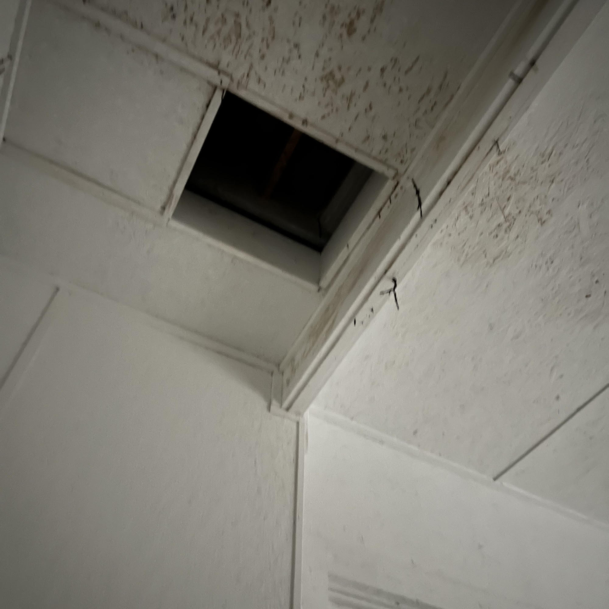 Blasingame Pest Managment, Inc. 424 Wilson Rd, Griffin, GA 30224