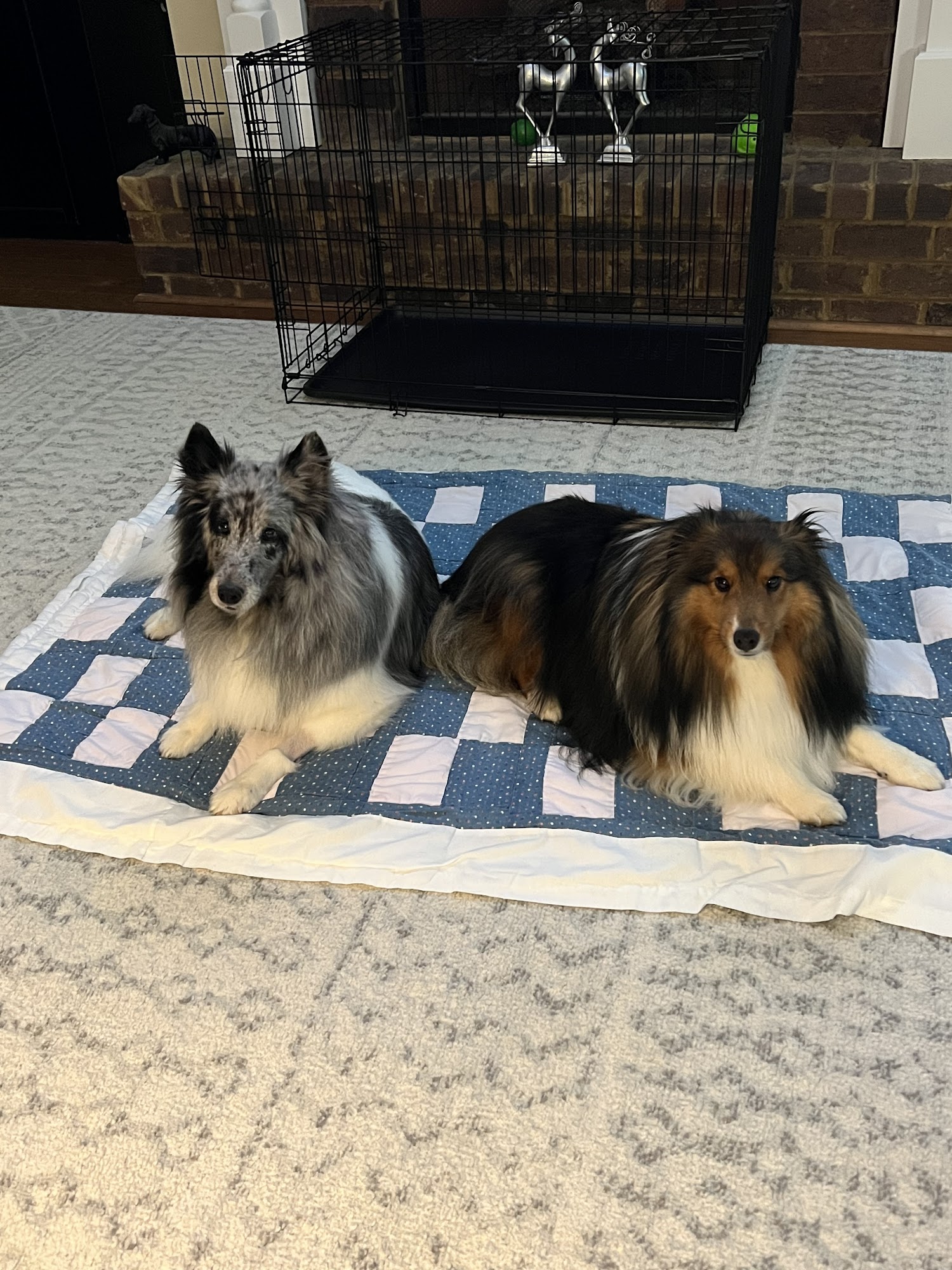 SRP Federal Credit Union Grovetown