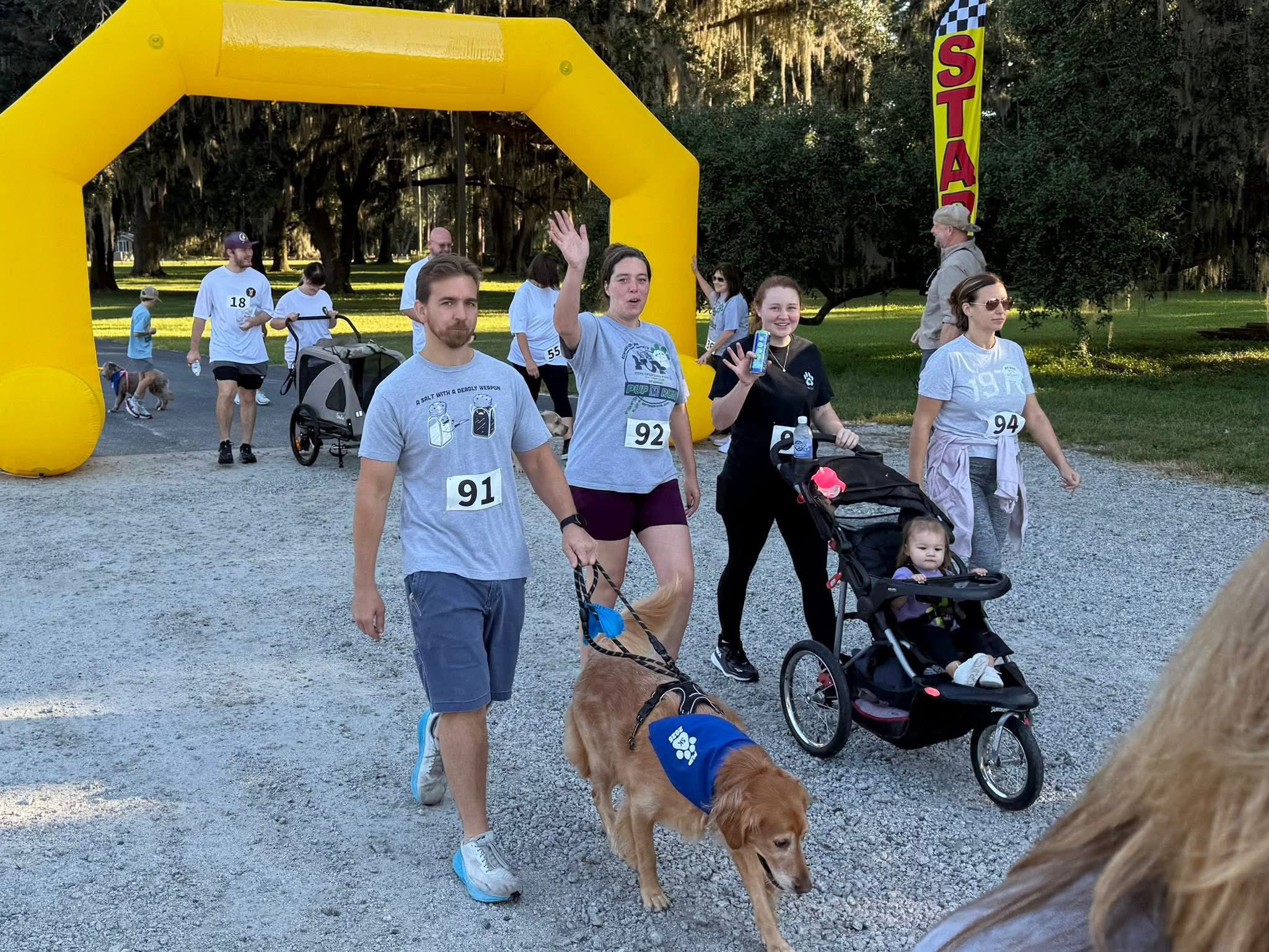 Guyton's Wizard of Paws Guyton