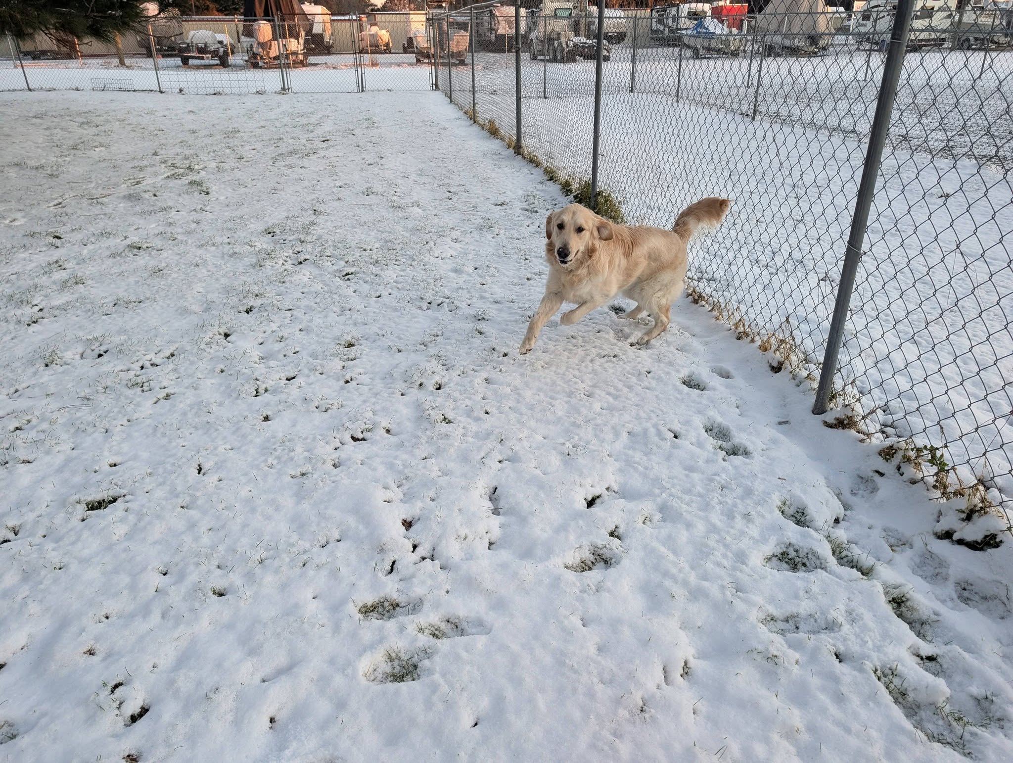 Guyton Pet Lodge Guyton