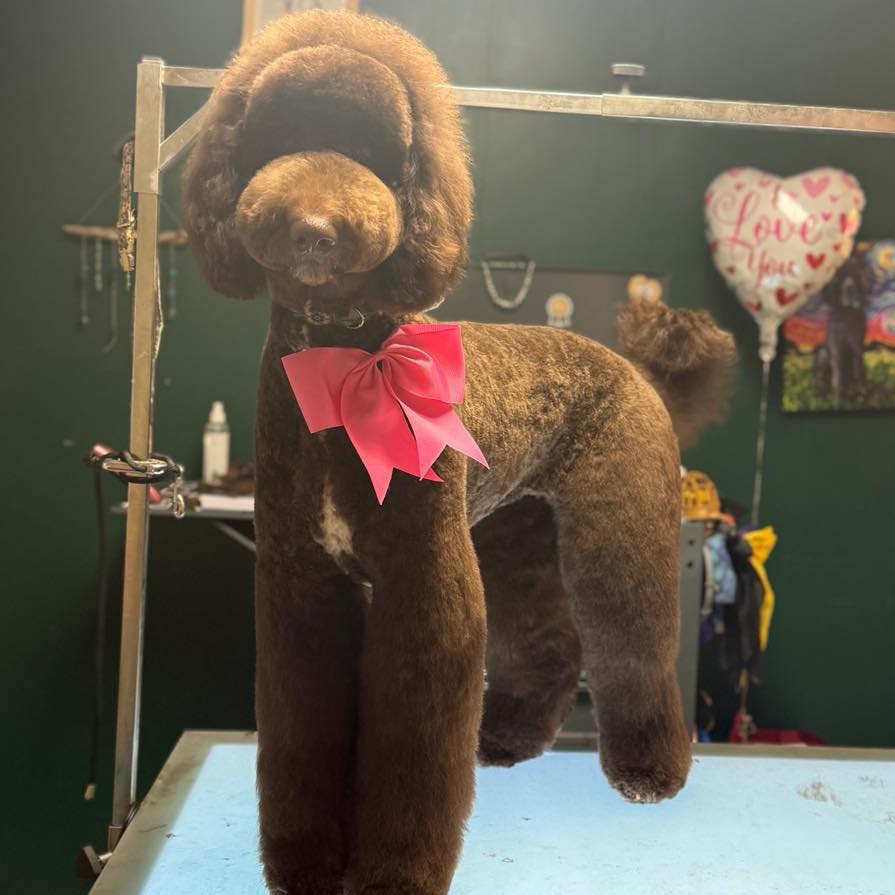 Doggie Do's of Hartwell Hartwell