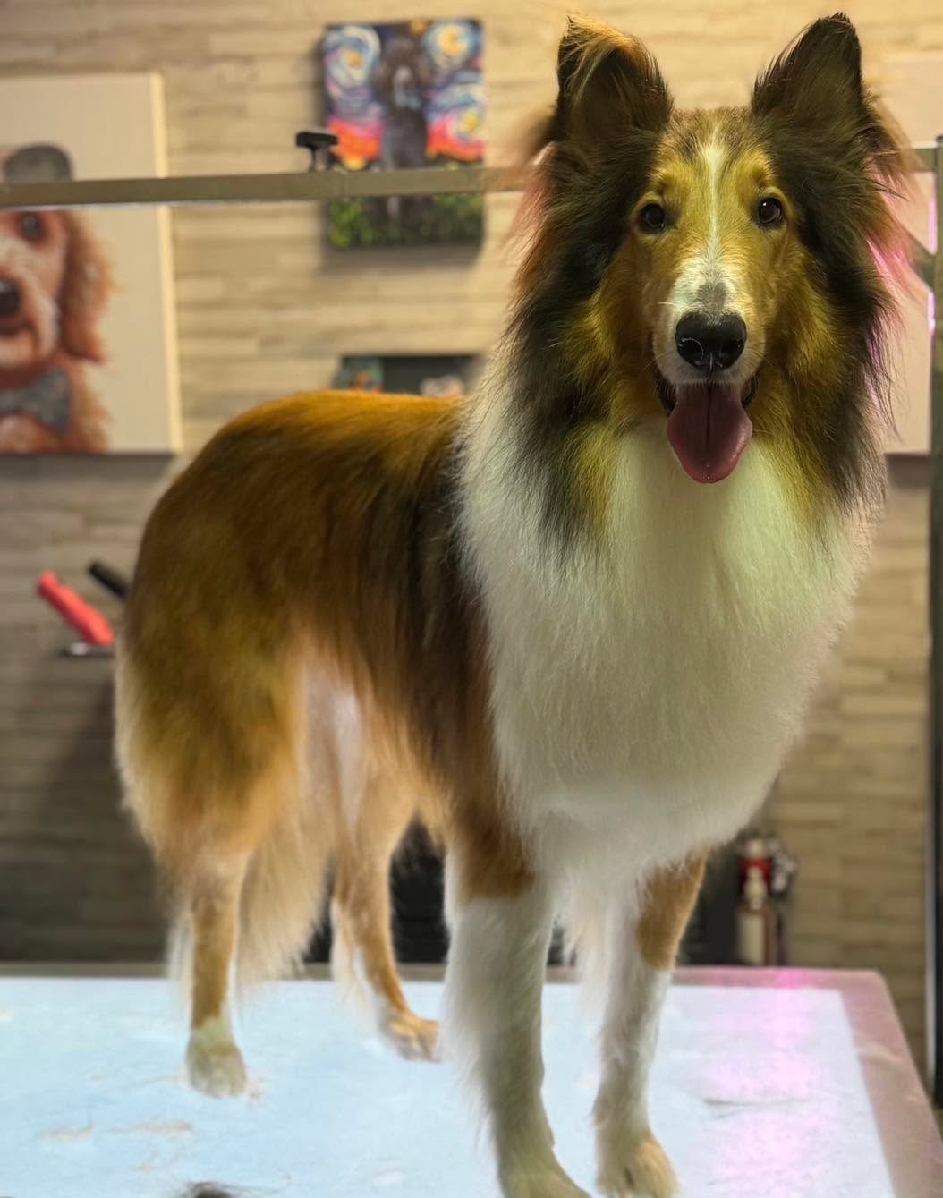 Doggie Do's of Hartwell Hartwell